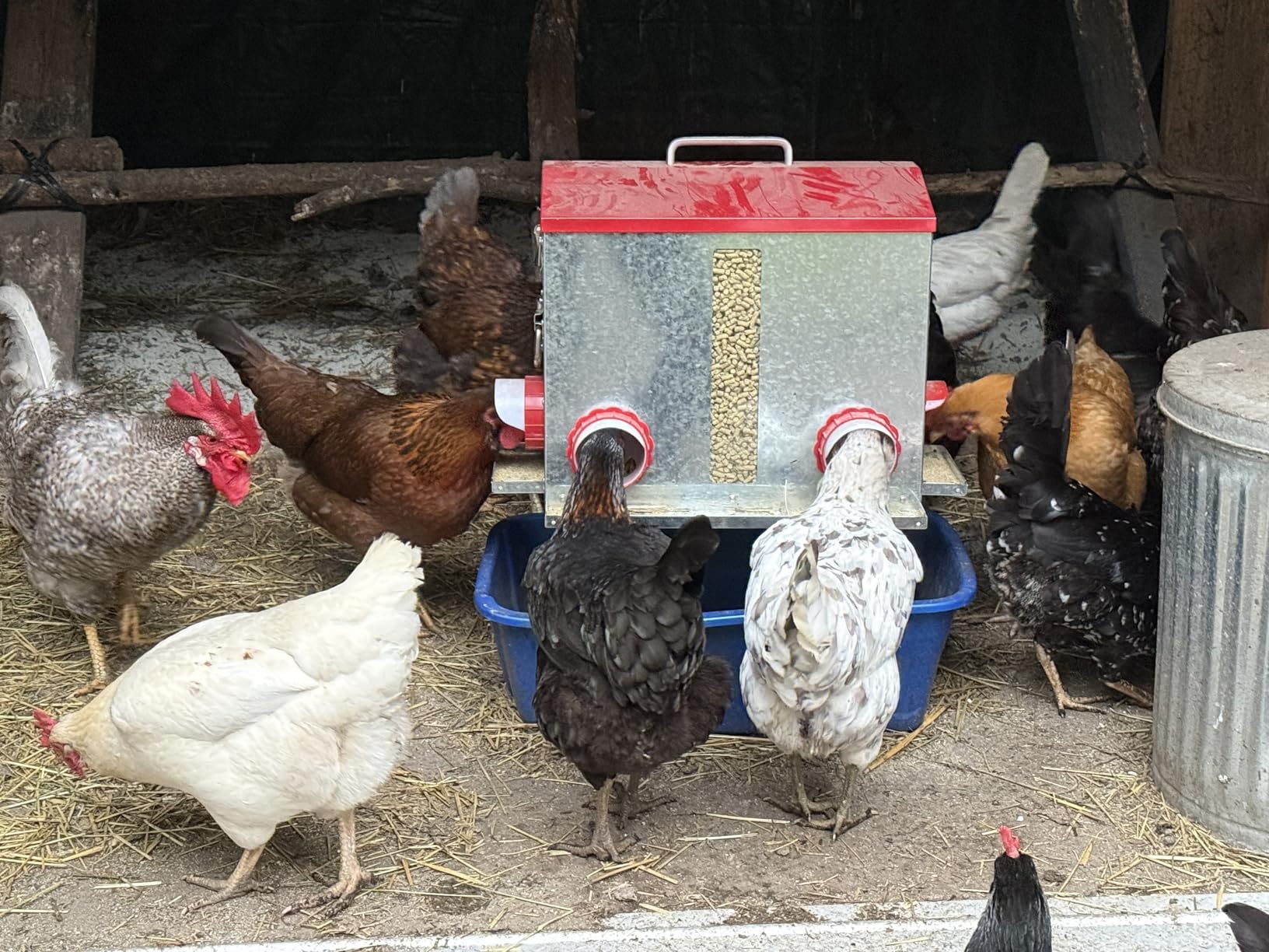 Pawaboo 55LBS Large Capacity Automatic Chicken Feeder | 2026 Upgraded No Waste Poultry Feeder, 7 Feeding Ports, Viewable Feed Level Window customer photo 2