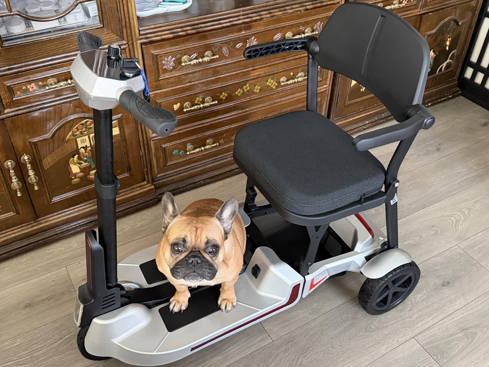 3 Wheel Folding Lightweight Mobility Scooter for Seniors & Adults, M3 Silver | Airline-friendly dual 8Ah batteries, up to 20 miles, 30 lb frame, 33 in turning radius, folds for tight halls, stores, cars customer photo 2