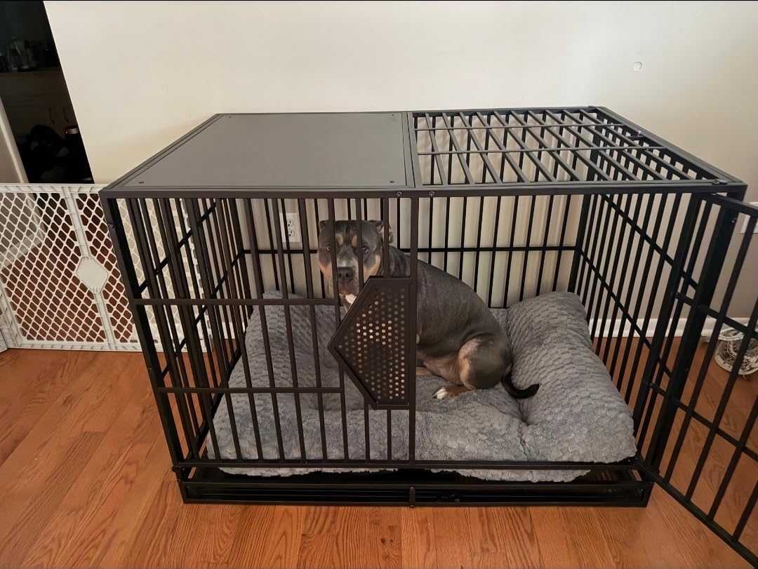 CAMMOO 48'' Heavy Duty Dog Crates for Large Dogs - Escape-Proof Dual Top Fences, Reinforced Square Tube Frame, Dog Kennel Indoor, Easy-Clean Split Floor, Extra-Wide Door, Dog Cage for High Anxiety Dog customer photo 1