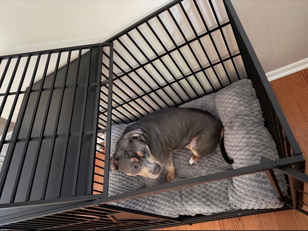 CAMMOO 48'' Heavy Duty Dog Crates for Large Dogs - Escape-Proof Dual Top Fences, Reinforced Square Tube Frame, Dog Kennel Indoor, Easy-Clean Split Floor, Extra-Wide Door, Dog Cage for High Anxiety Dog customer photo 2