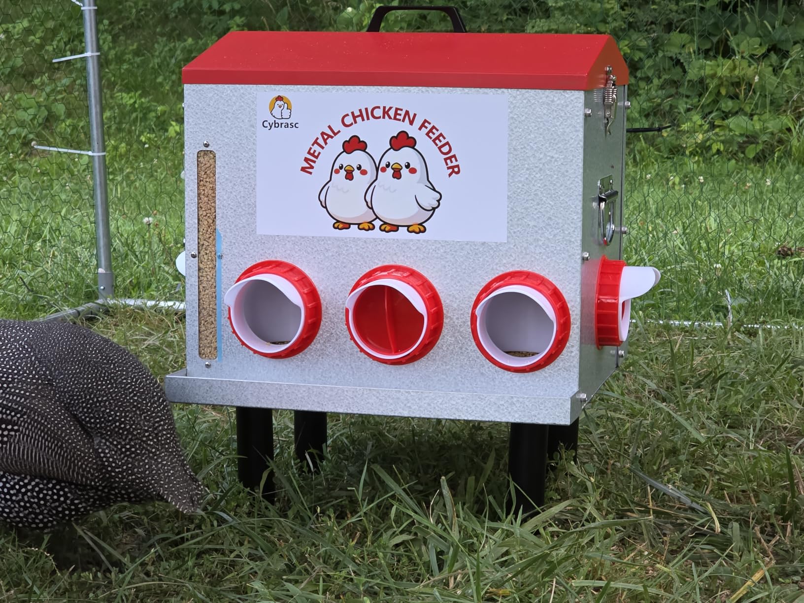 10-Gal Metal Chicken Feeder with Window, Dual No-Waste Design, Automatic Large Chicken Feeder for Outdoor Coops, Rust-Proof Alloy Steel Poultry Feeder with Adjustable Legs (Red) customer photo 1