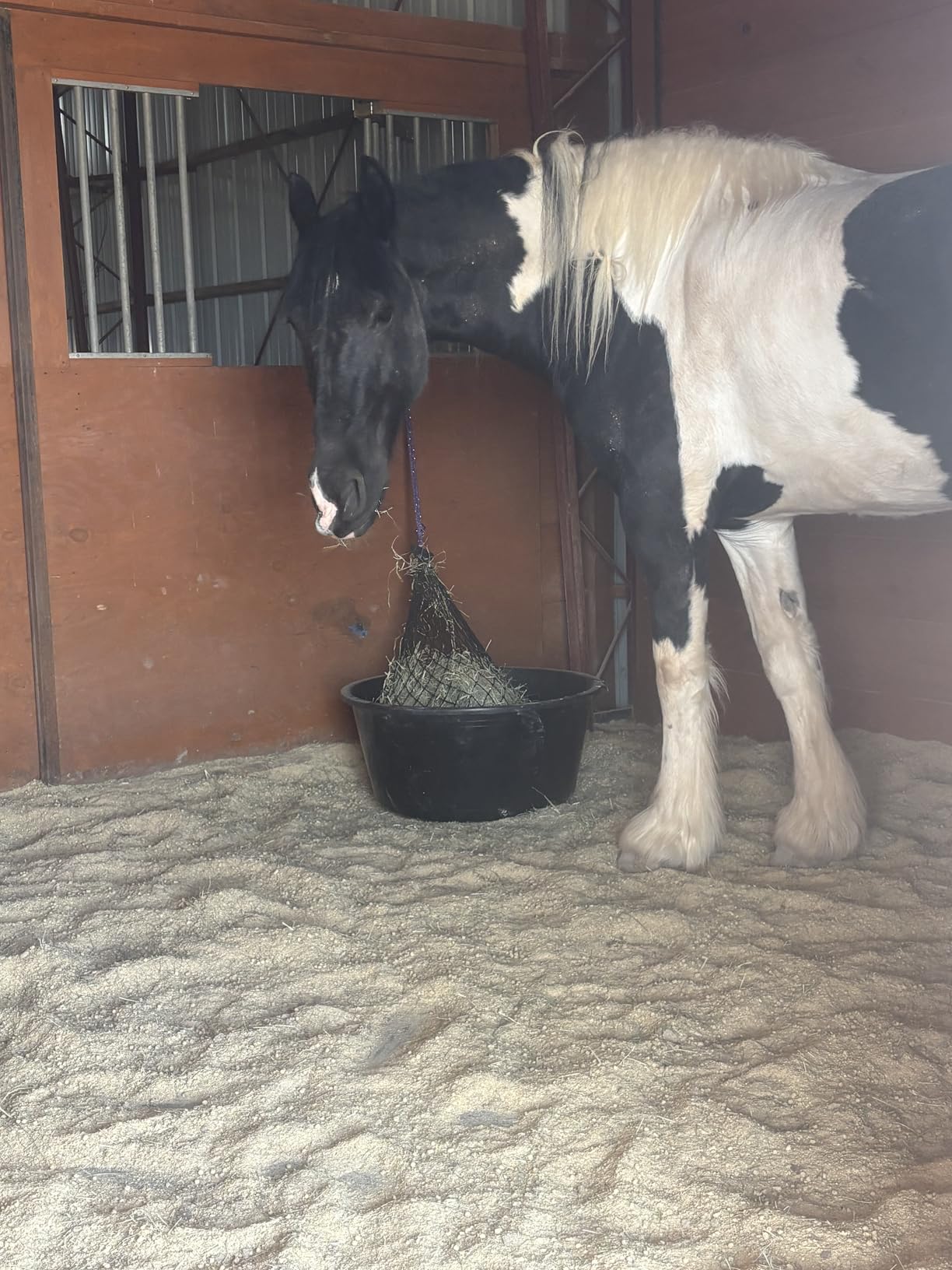 Half Bale Slow Feed Hay Net for Horses - 1 3/4