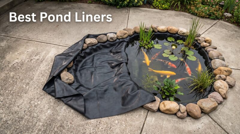 Best Pond Liners