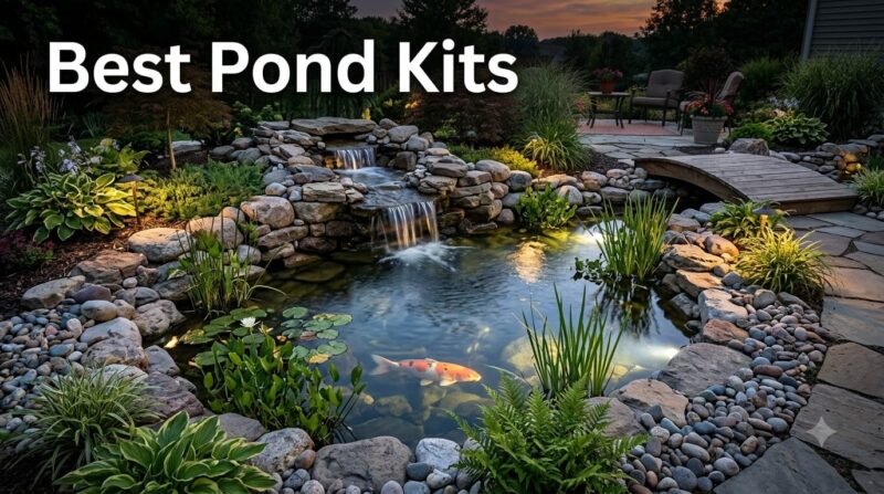 Best Pond Kits