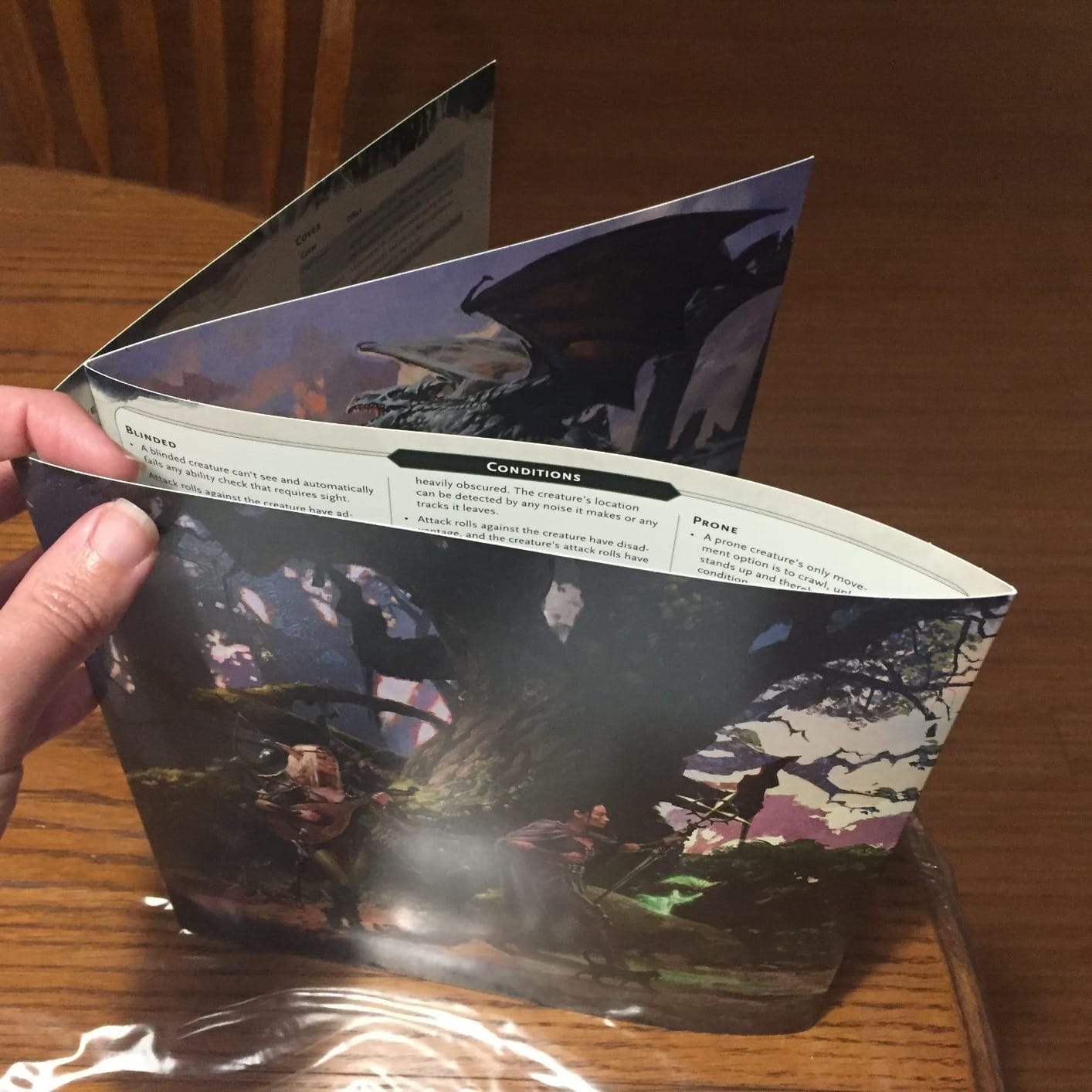 D&D Essentials Kit (Dungeons & Dragons Intro Adventure Set) customer photo 2