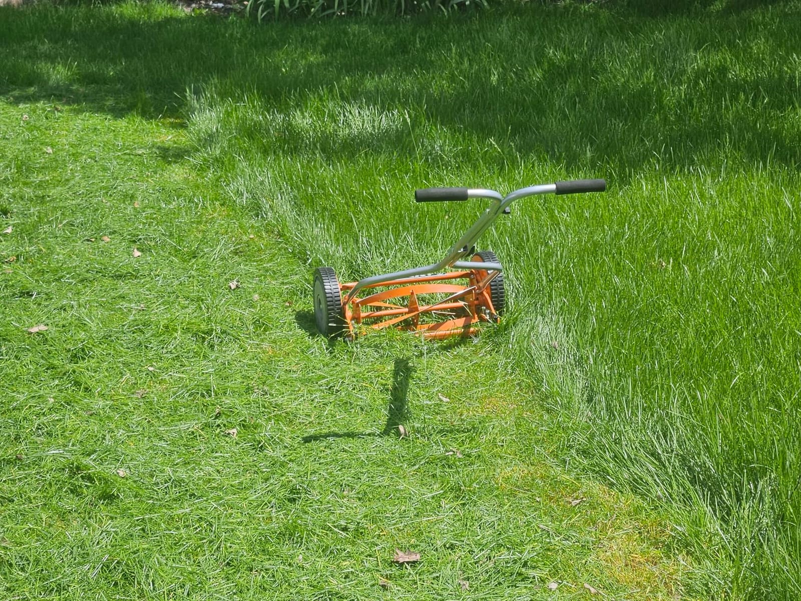 American Lawn Mower Company 1204-14 14-Inch 4-Blade Push Reel Lawn Mower, Red customer photo 1