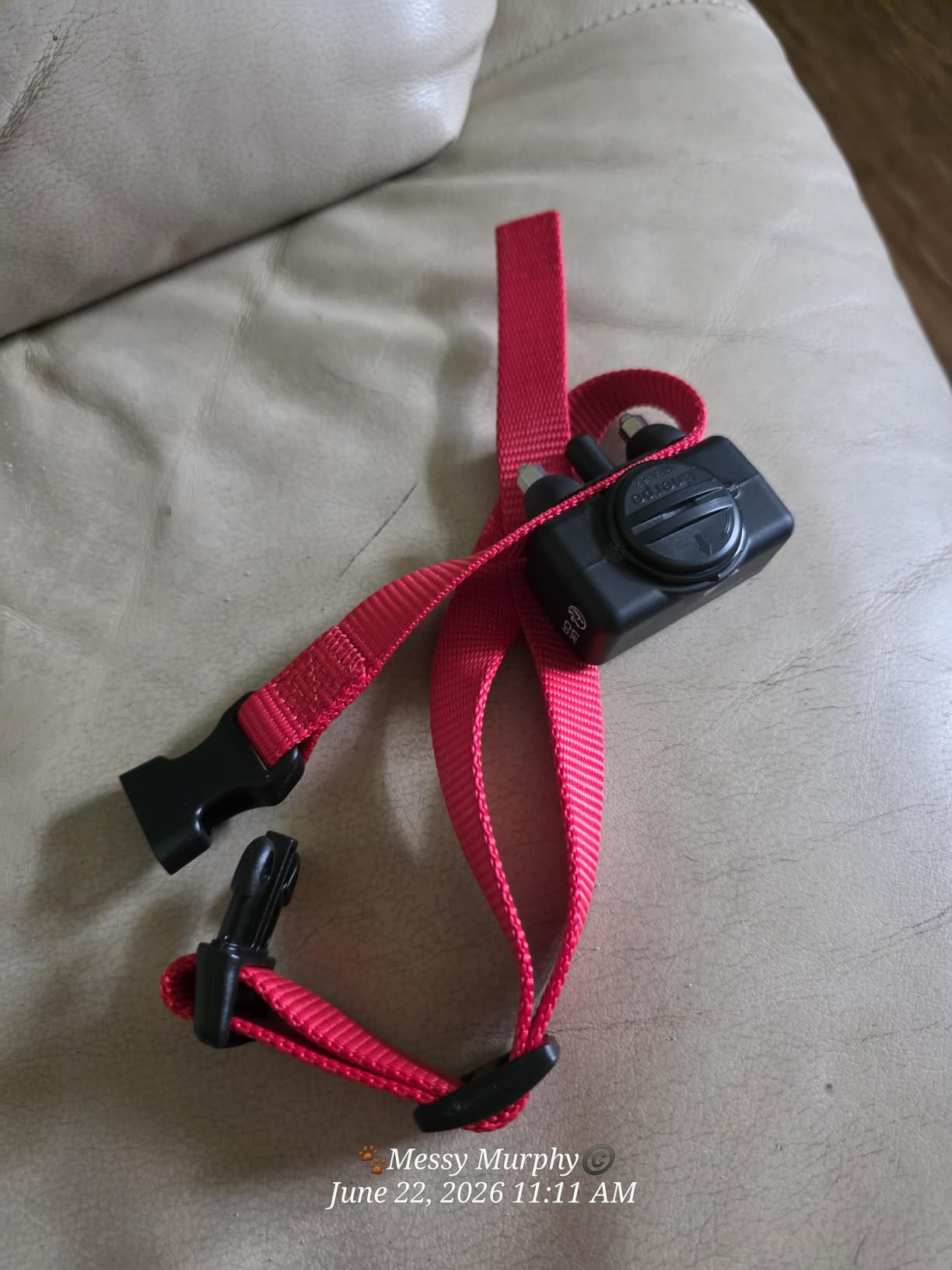 PetSafe Basic Bark Control Collar | Progressive Static Correction, Warning Beep, Includes Battery, Dogs 8 lb+, Neck 5-27 in customer photo 1