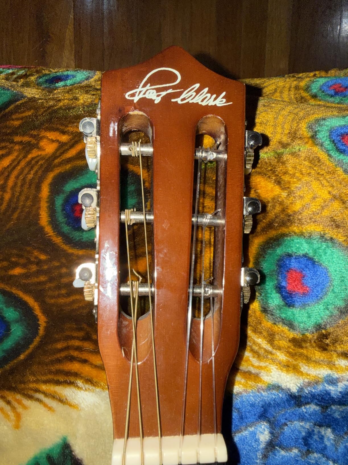 Ernie Ball Folk Nylon Clear & Gold Ball-End 80/20 Bronze Acoustic Guitar Strings, 28-42 Gauge (P02069) customer photo 2