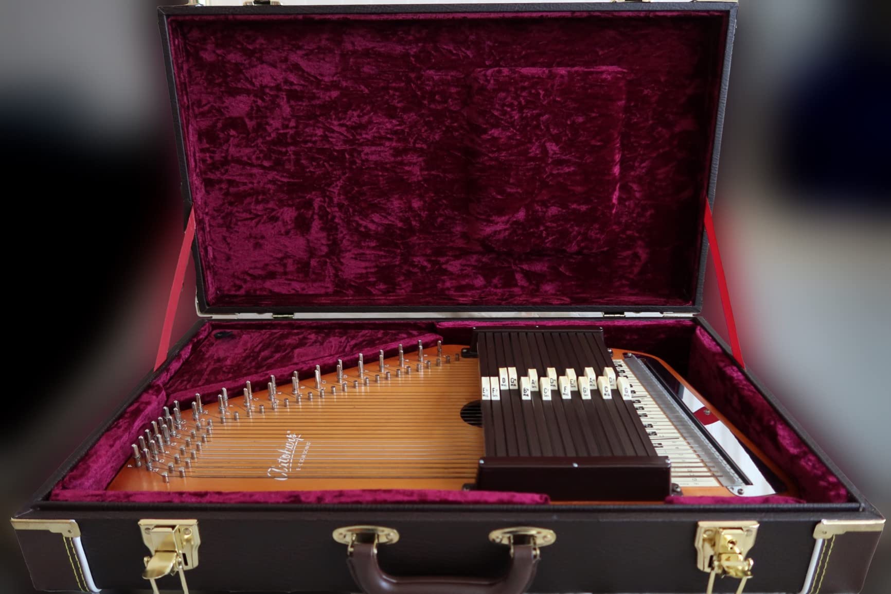 Autoharp by Oscar Schmidt Deluxe Hardshell Autoharp Hard Case with Plush Lining and Accessory Compartment customer photo 2