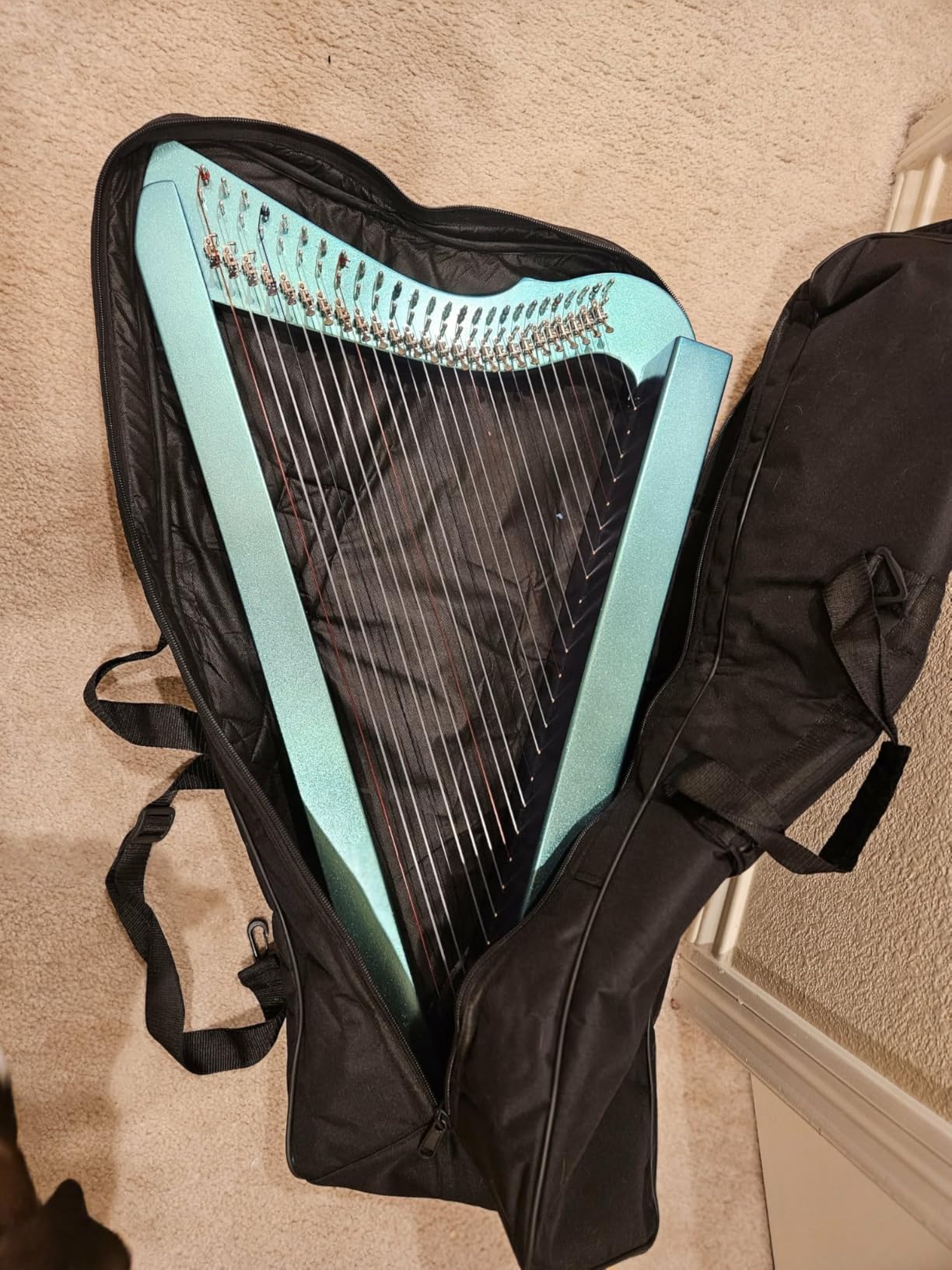 Nylon Padded Case for the Heather Harp customer photo 1