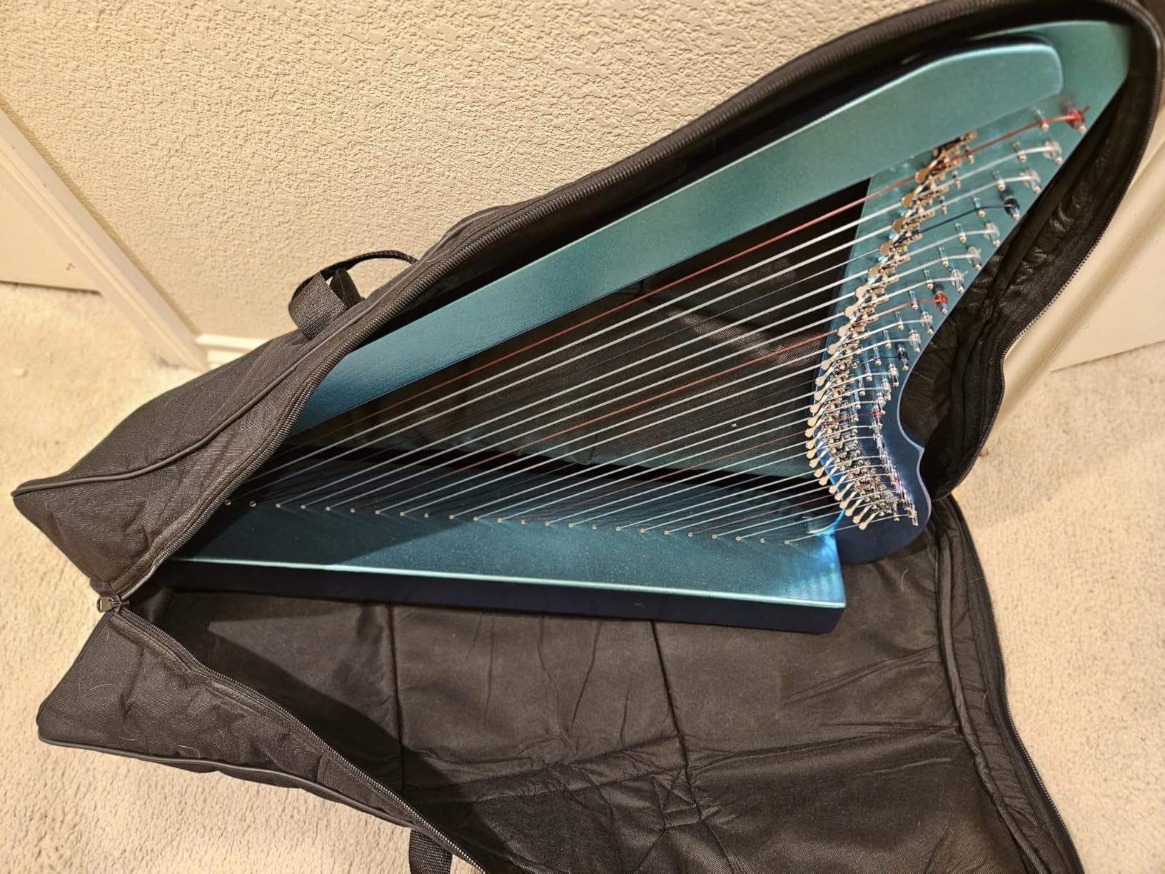 Nylon Padded Case for the Heather Harp customer photo 2