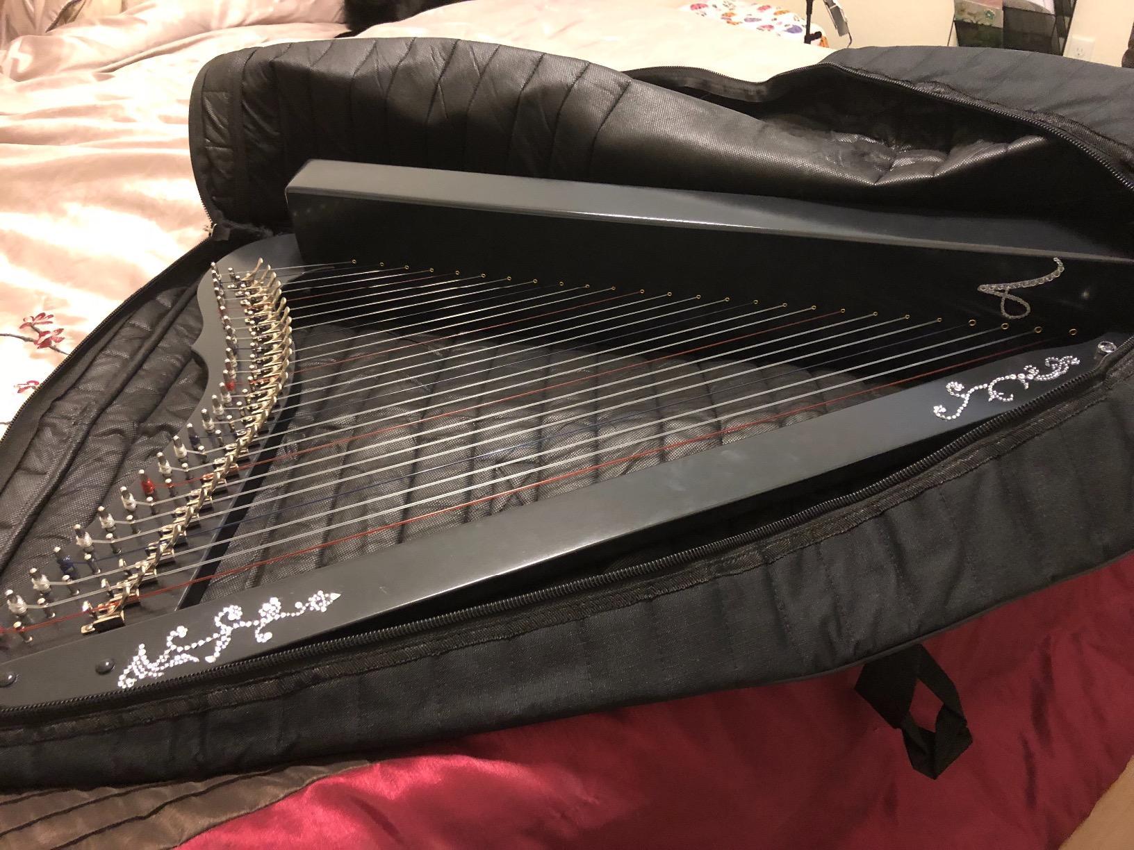 Mid-East Minstrel Harp TM Nylon Case customer photo 1
