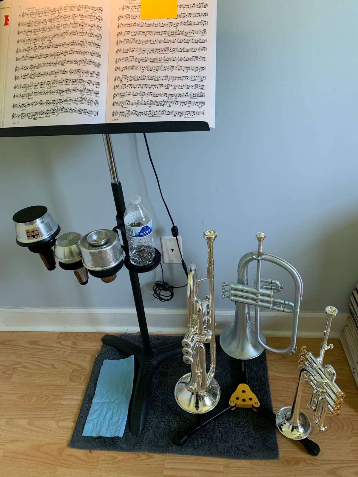 Hercules Stands DS513BB Trumpet/Cornet/Flugelhorn Stand customer photo 1