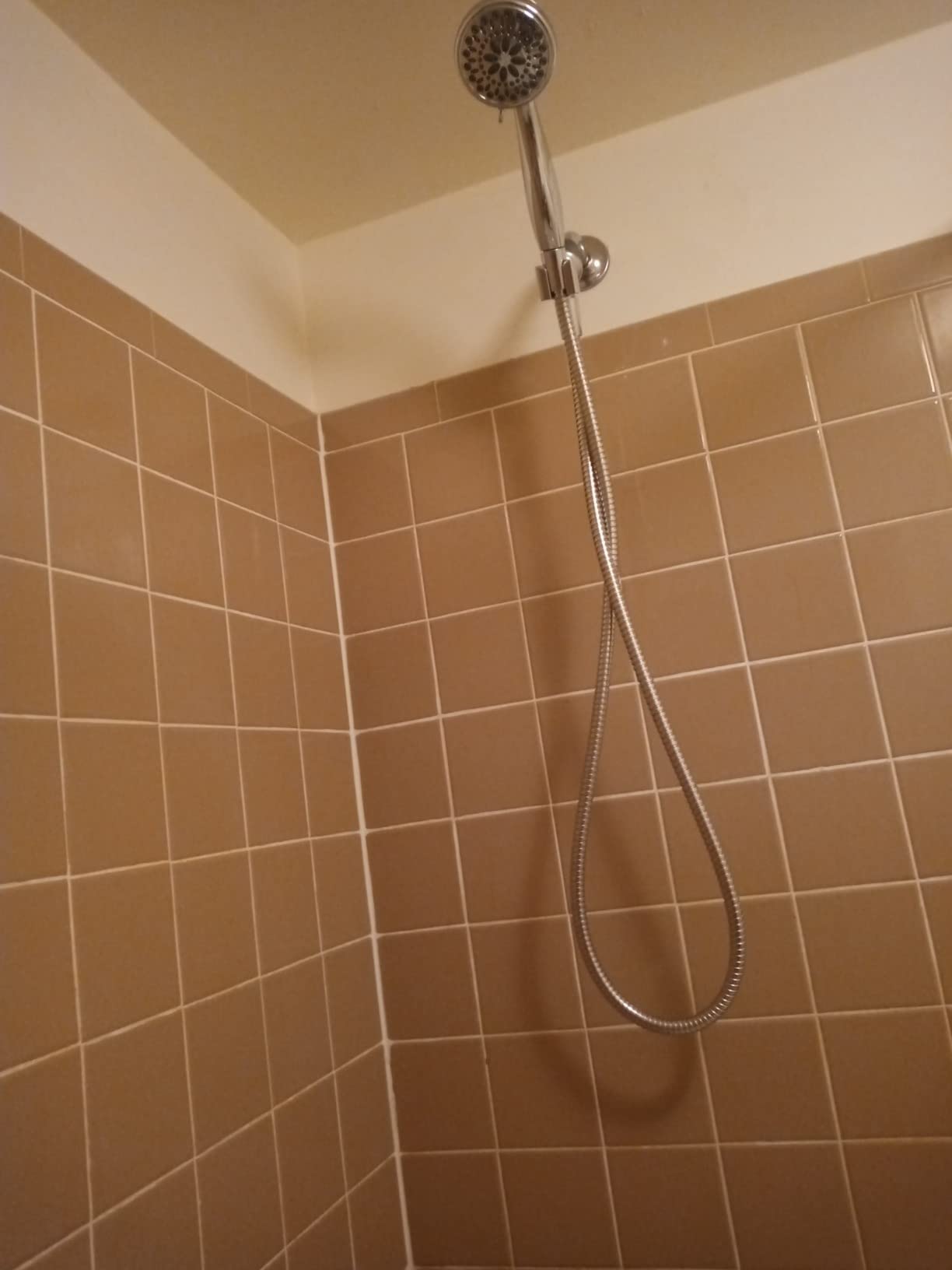 Delta Faucet 7-Spray Touch-Clean Hand Held Shower Head with Hose, Chrome, 75700 customer photo 1