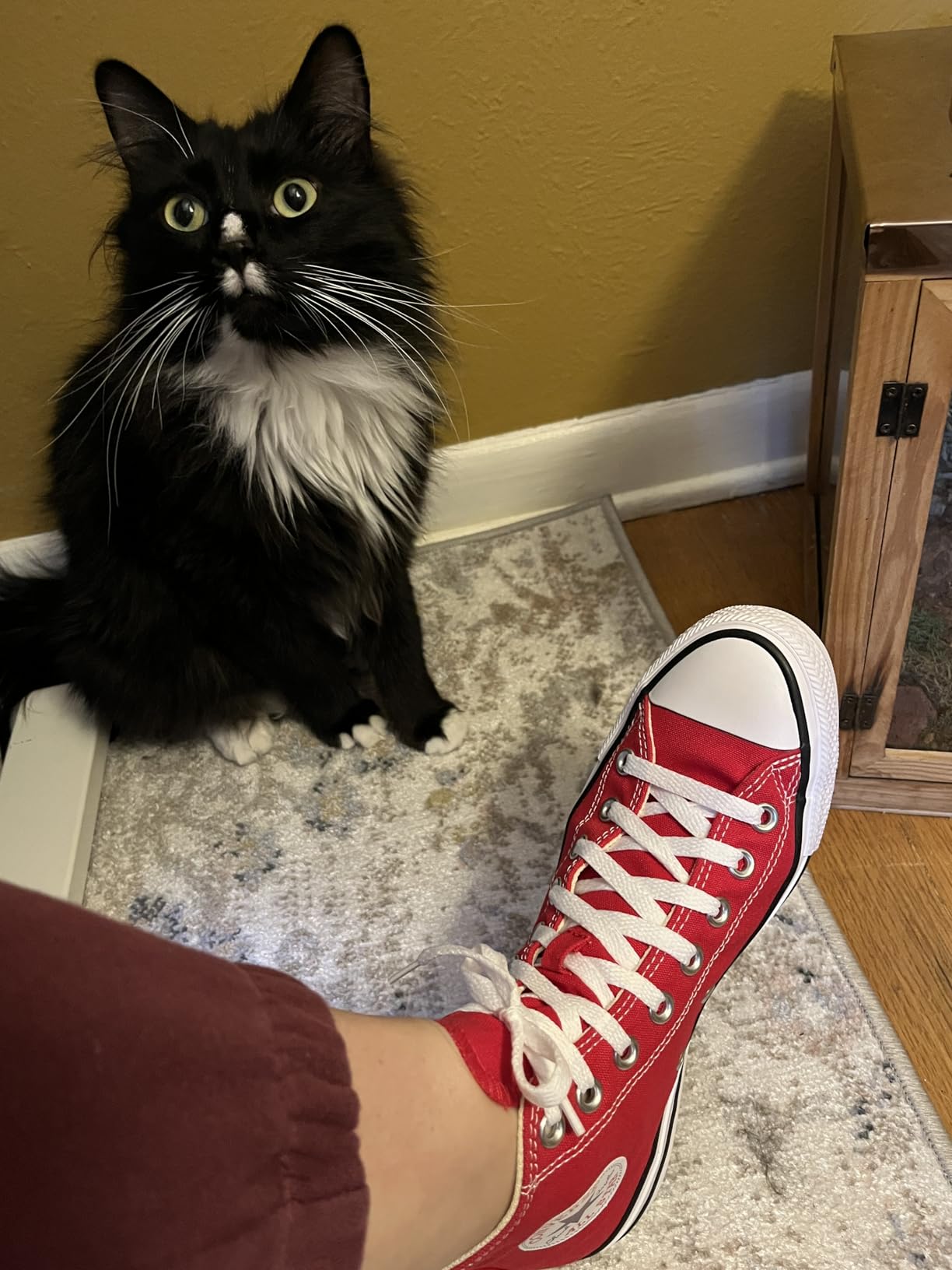 Converse Unisex Adult Chuck Taylor All Star High Top Sneaker | Casual Shoes customer photo 1
