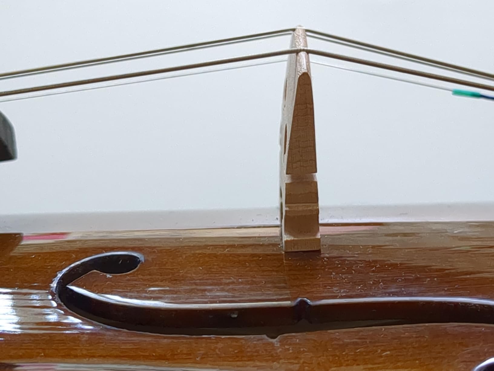 Cremona SV-175 4/4 Premier Student Violin Outfit - Solid Spruce Top, Maple Back, Ebony Fittings, Prelude Strings, Case & Bow for Beginner & Advancing Students customer photo 2