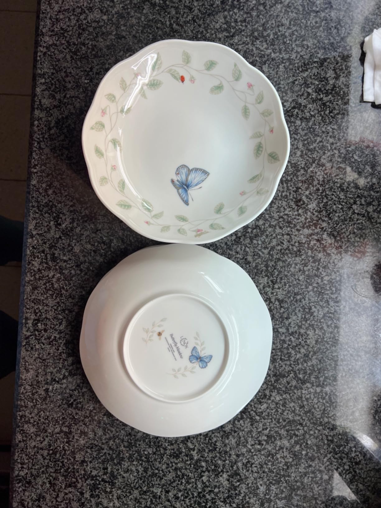 Lenox Butterfly Meadow Porcelain Pasta Bowl Set for 4, 20oz customer photo 1