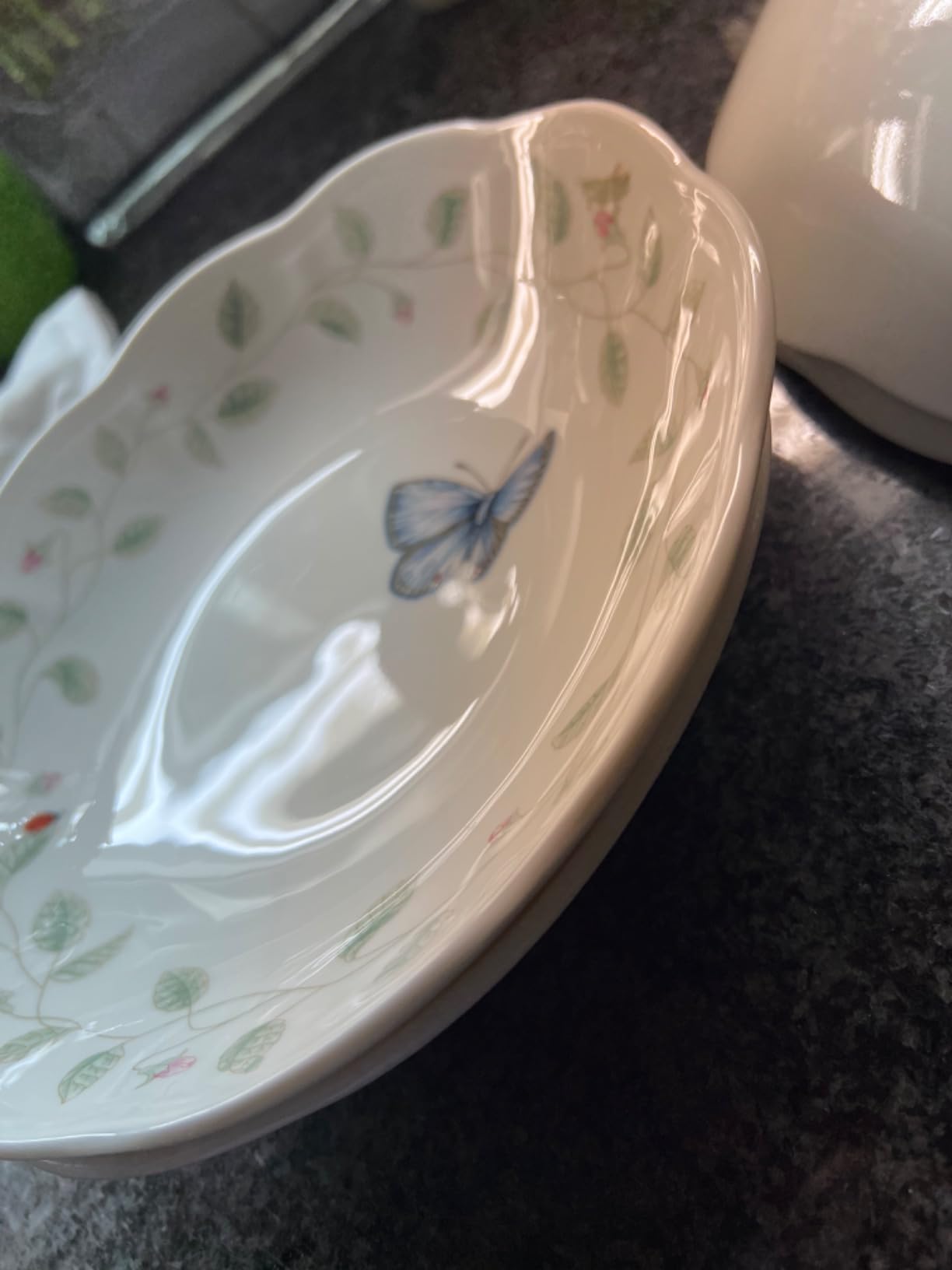 Lenox Butterfly Meadow Porcelain Pasta Bowl Set for 4, 20oz customer photo 2