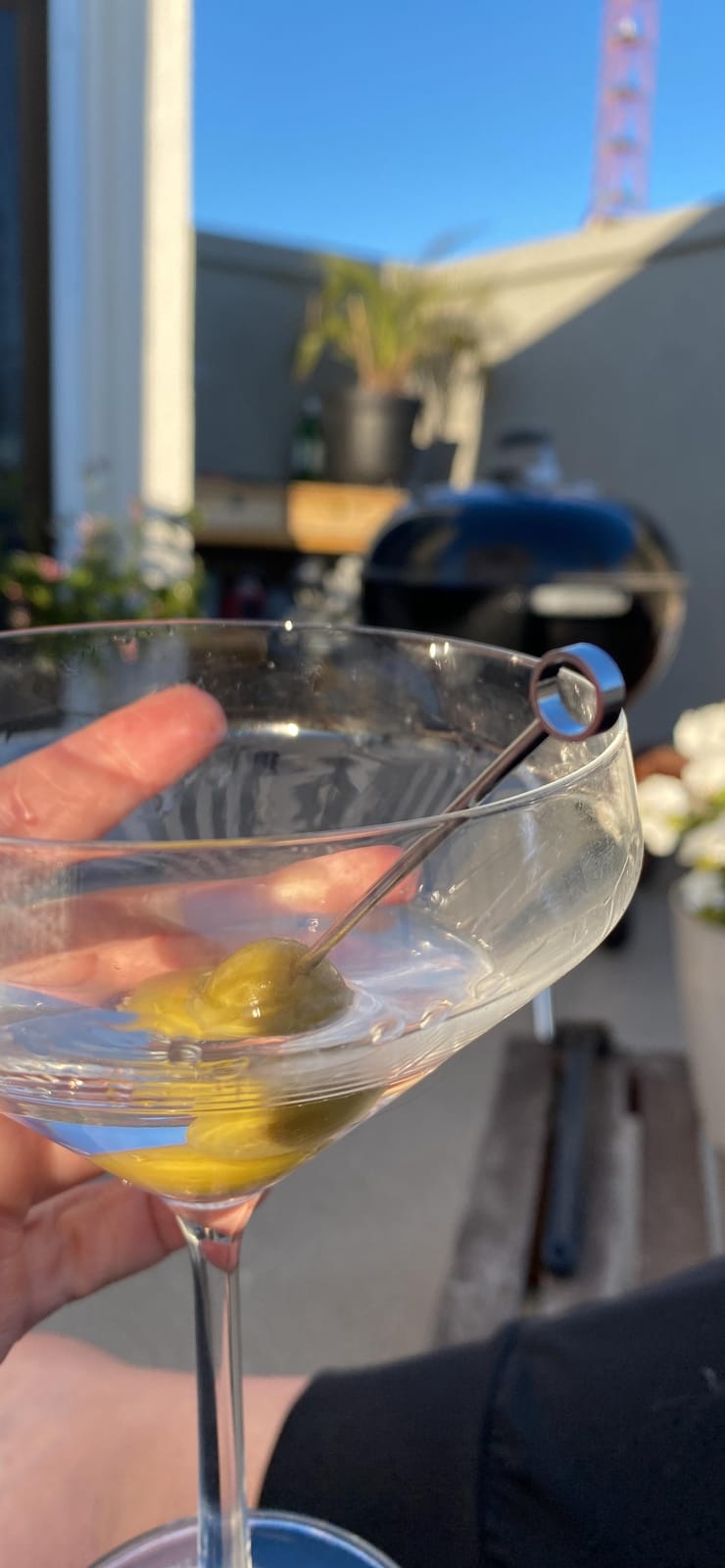 Zwiesel Glas Pure Martini Glass (Set of 6), Cocktail Glasses for Martini, Dishwasher-Safe Machine-Made Tritan Crystal Glasses, Made in Germany (12.3 Ounce) customer photo 2