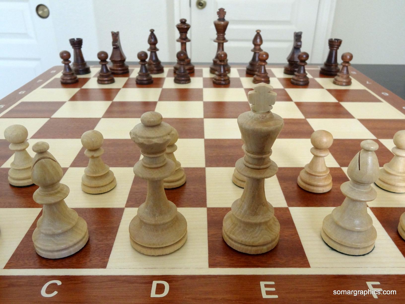 Wegiel Handmade European Professional Tournament Chess Set - Wooden 21 Inch Folding Board with Felt Base & Hand Carved Chess Pieces - Compartment Inside The Board to Store Each Piece customer photo 1