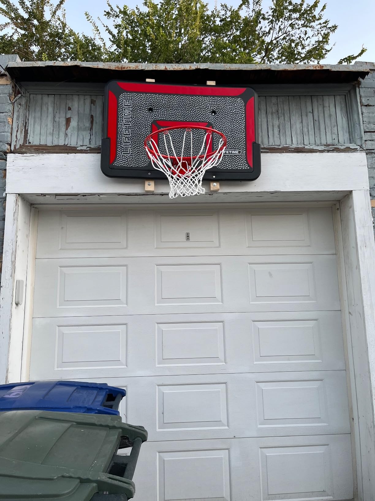 Lifetime 3823 44 in. Backboard Rim Combo customer photo 2