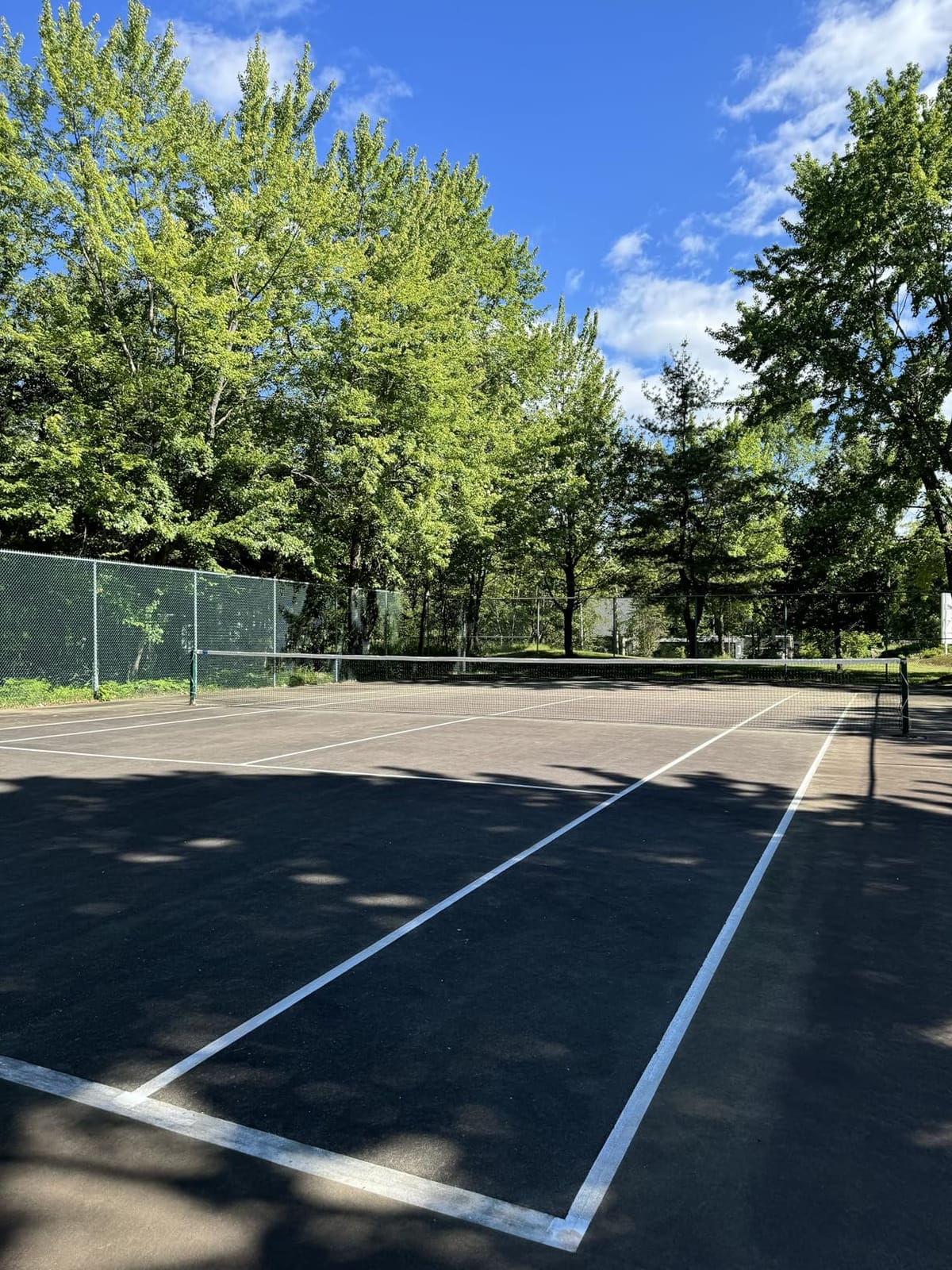 VERMONT Tennis Net - Championship Quality, Heavy-Duty HDPE | 42ft Doubles or 33ft Singles | 4 Thickness Options customer photo 1