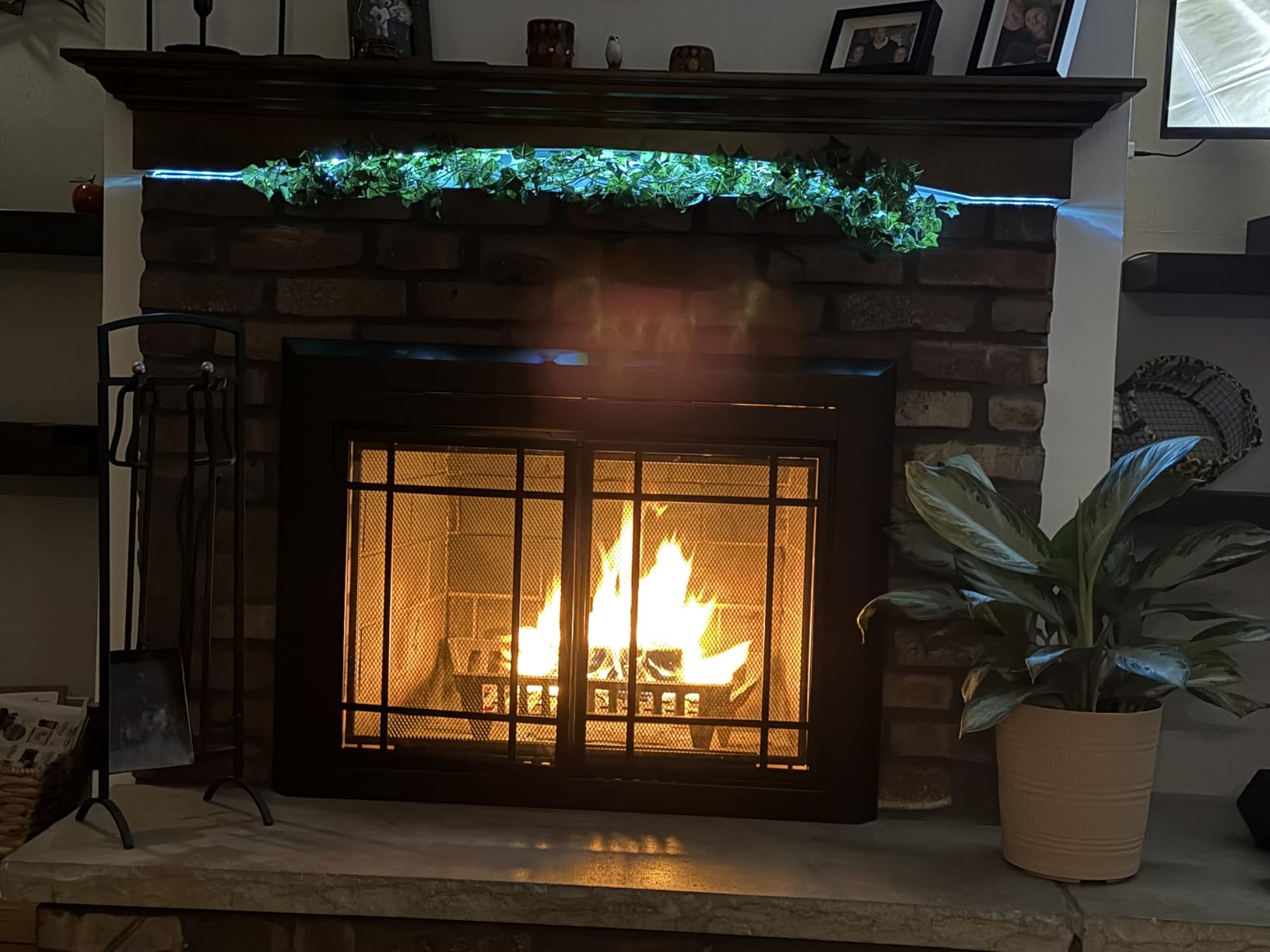 Easton Small Black Fireplace Glass Door customer photo 1