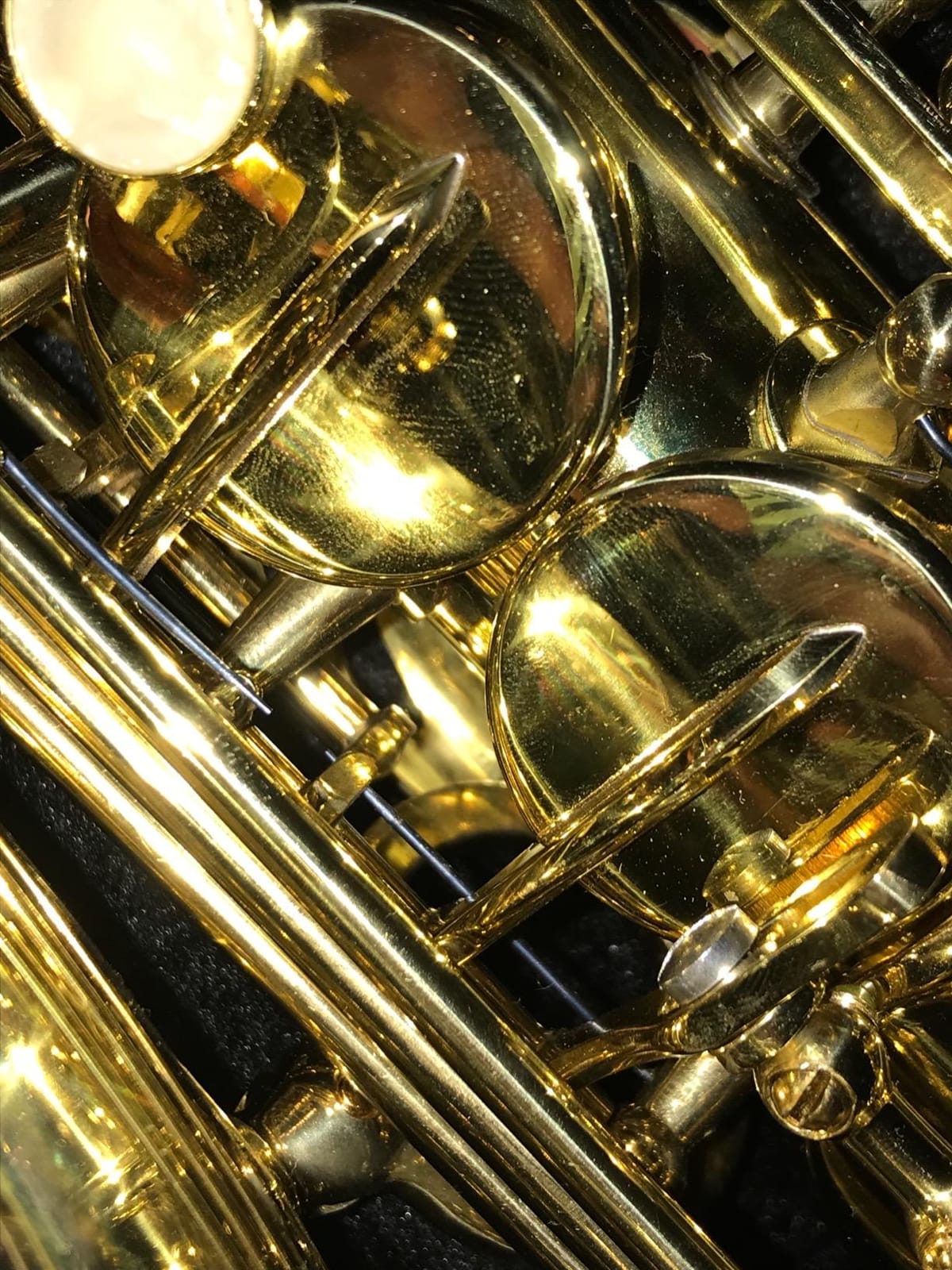 Prelude Student Model AS711 Alto Saxophone by Conn-Selmer, MultiColored customer photo 1