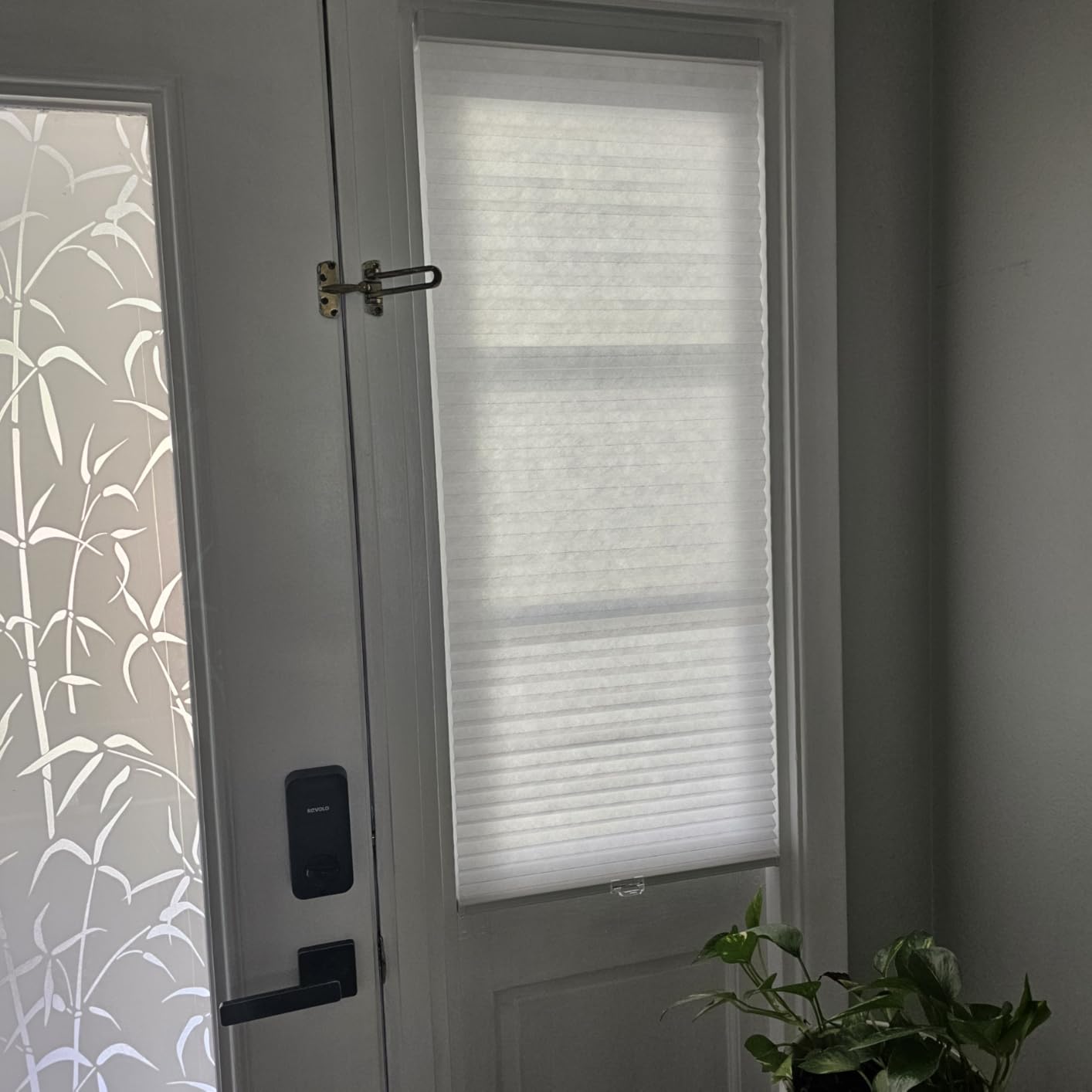 Arlo Blinds Single Cell Light Filtering Cordless Cellular Shades, Color: Pure White, Size: 34