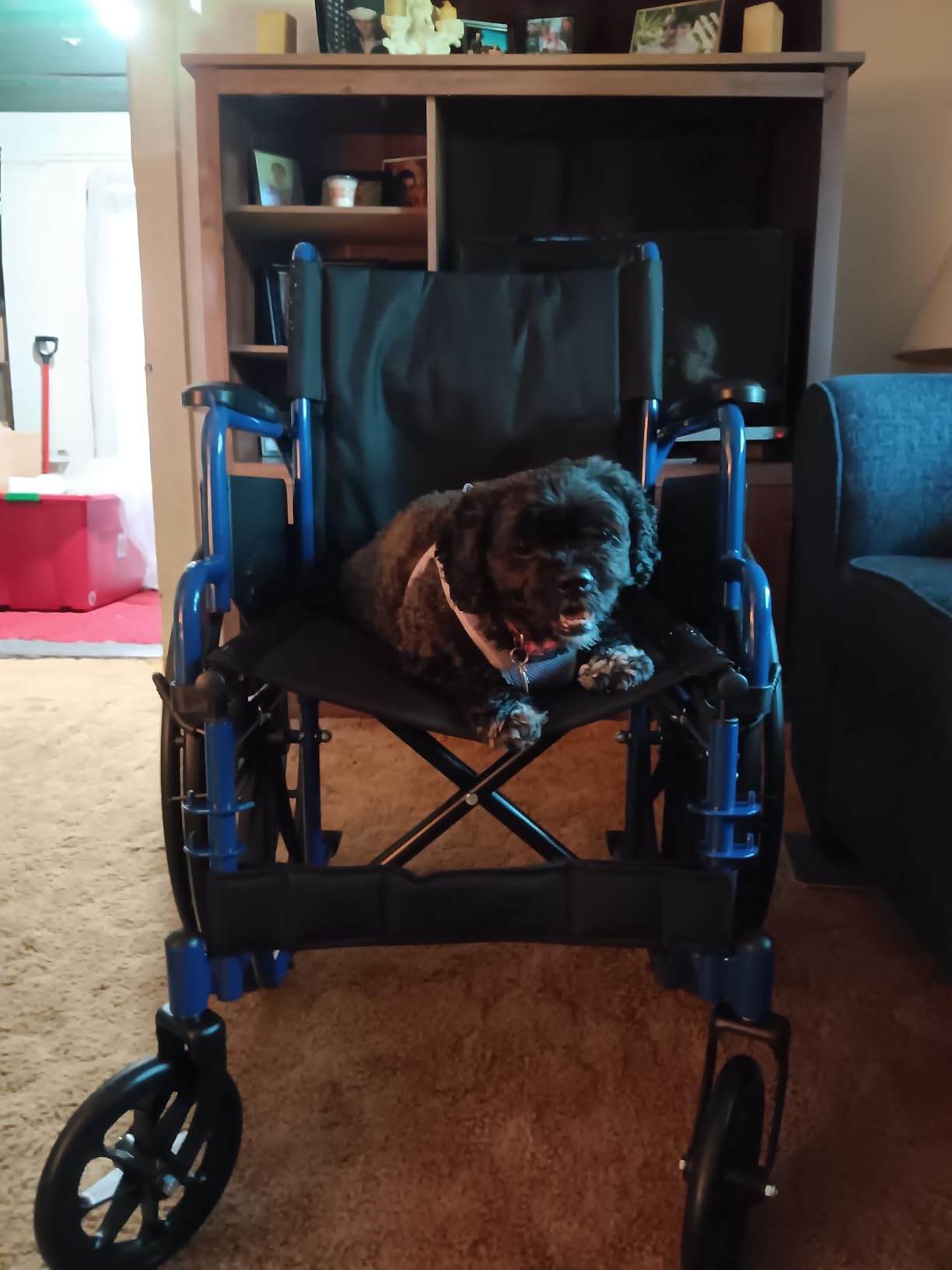 Drive Medical Blue Streak Lightweight Wheelchair, Footrests, 20