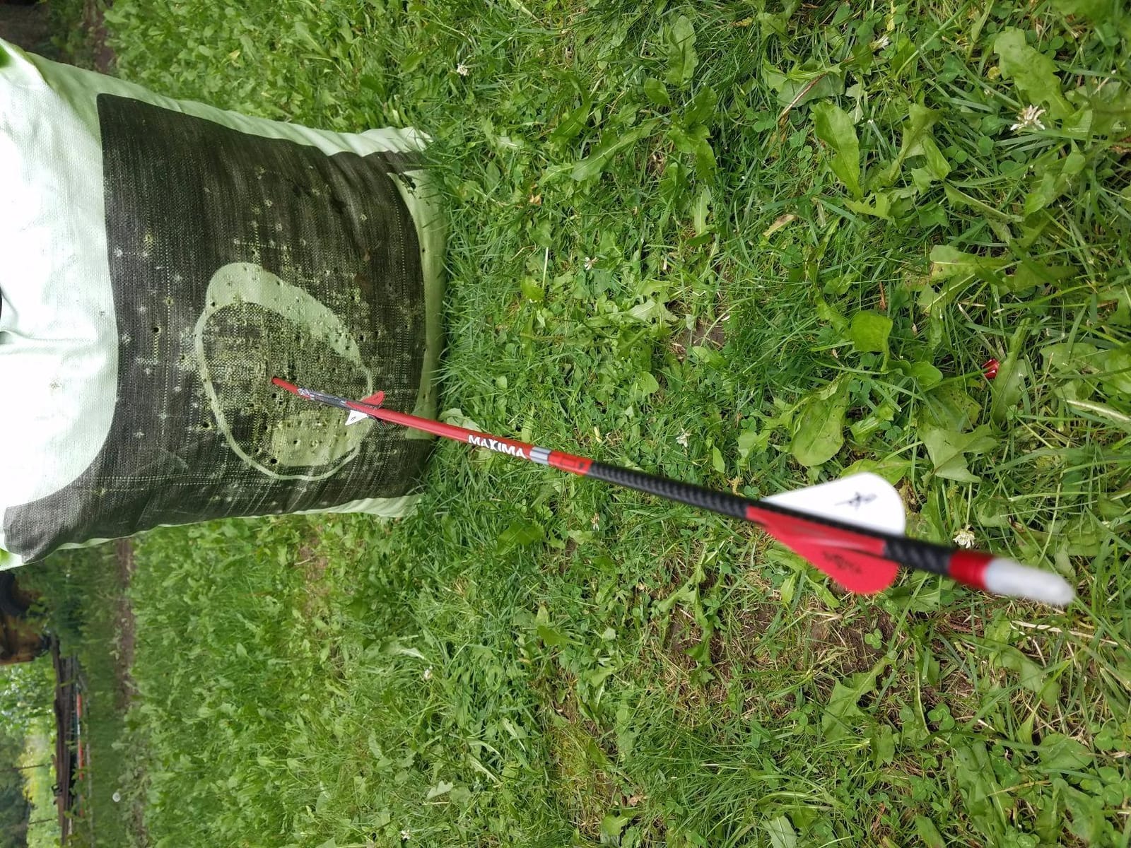 Carbon Express Maxima RED Fletched Carbon Arrows with Dynamic Spine Control and Blazer Vanes, 6-Pack customer photo 1