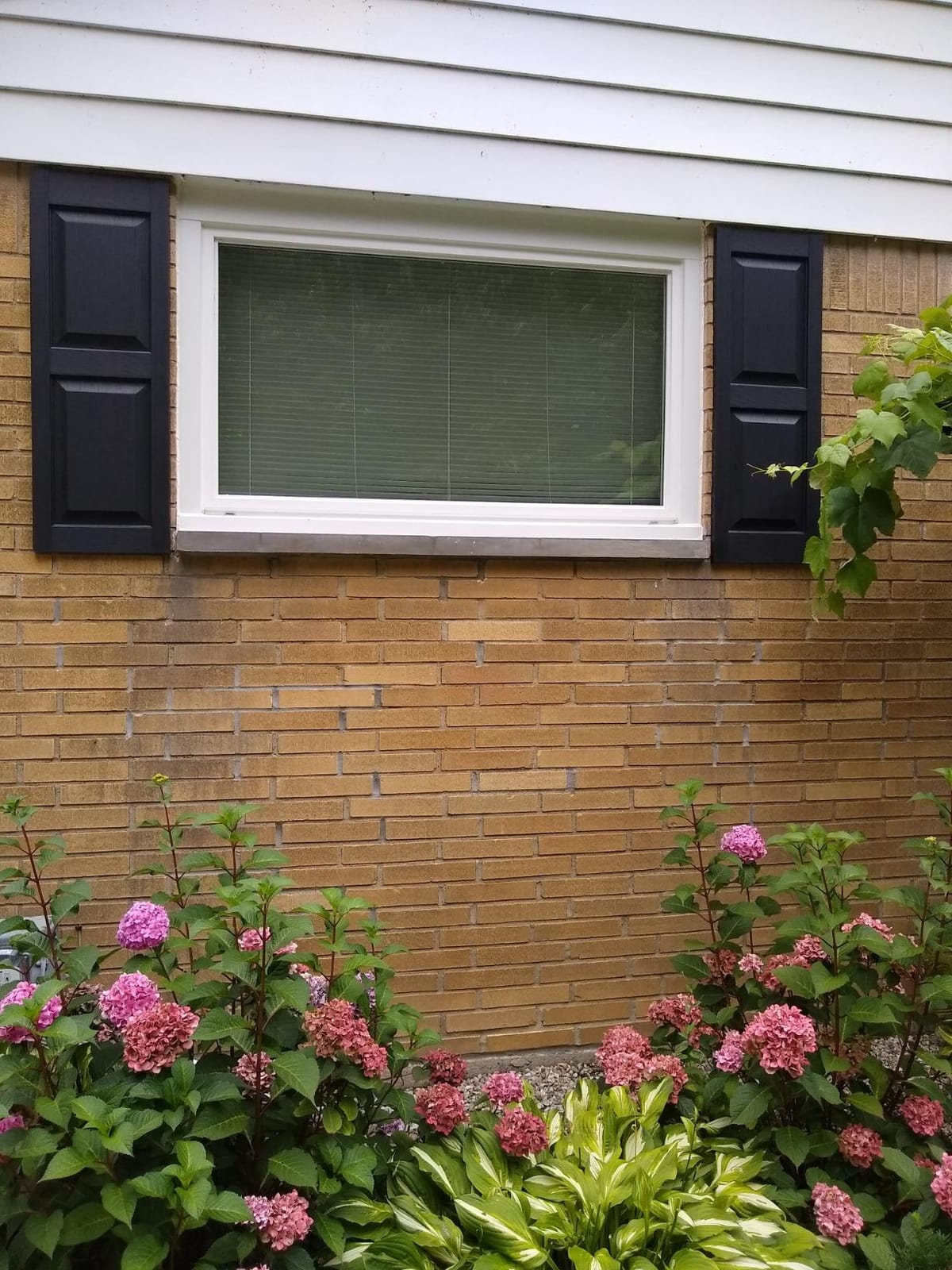 Exterior Solutions Standard Raised Panel Exterior Vinyl Shutter, Black (Pair), 15 Inch x 59 Inch customer photo 2