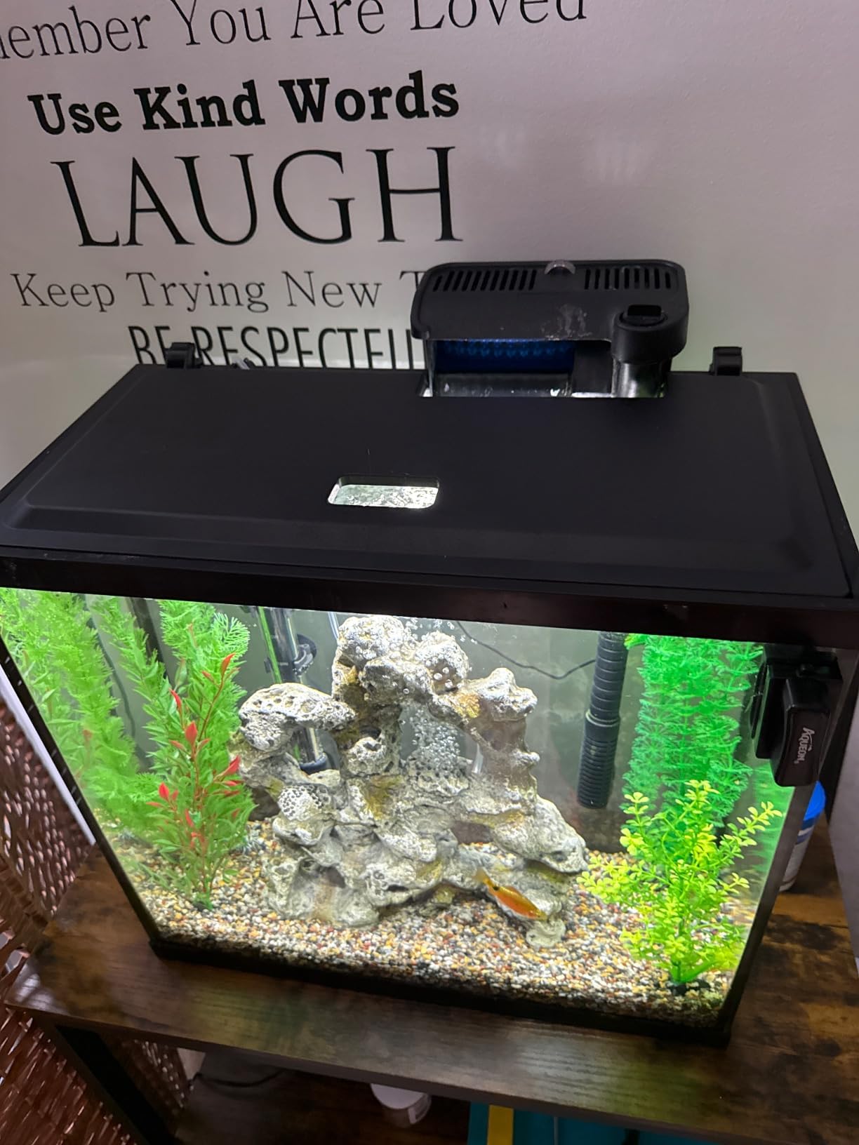 Tetra LED Aquarium Hood 20 in x 10 in, Low-Profile Fish Tank Cover | With Hidden Lighting customer photo 1