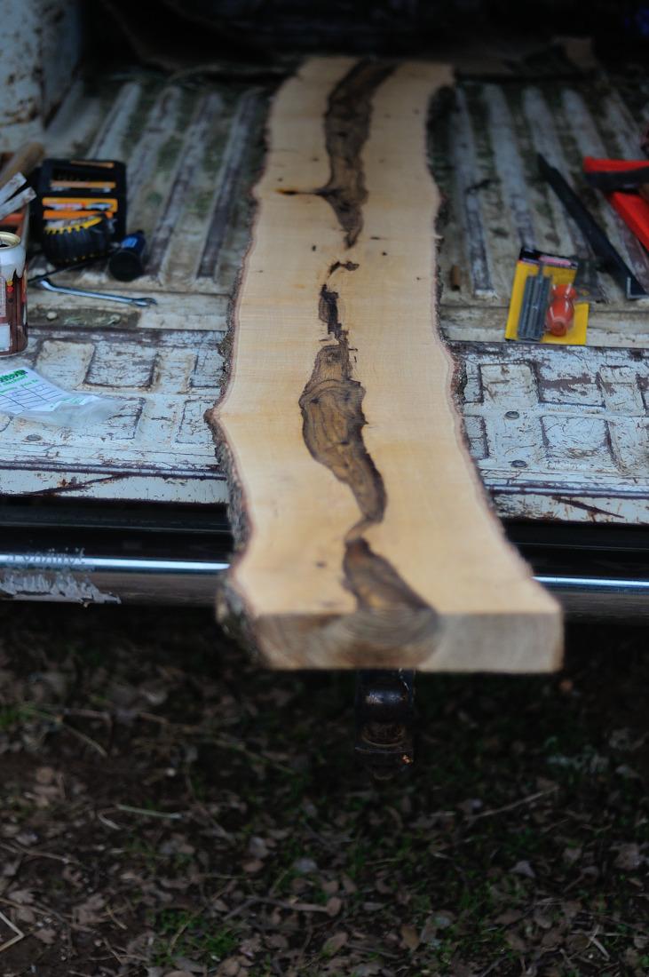 Echo Chain Saw, Gas, 20 in. Bar, 59.8cc customer photo 2