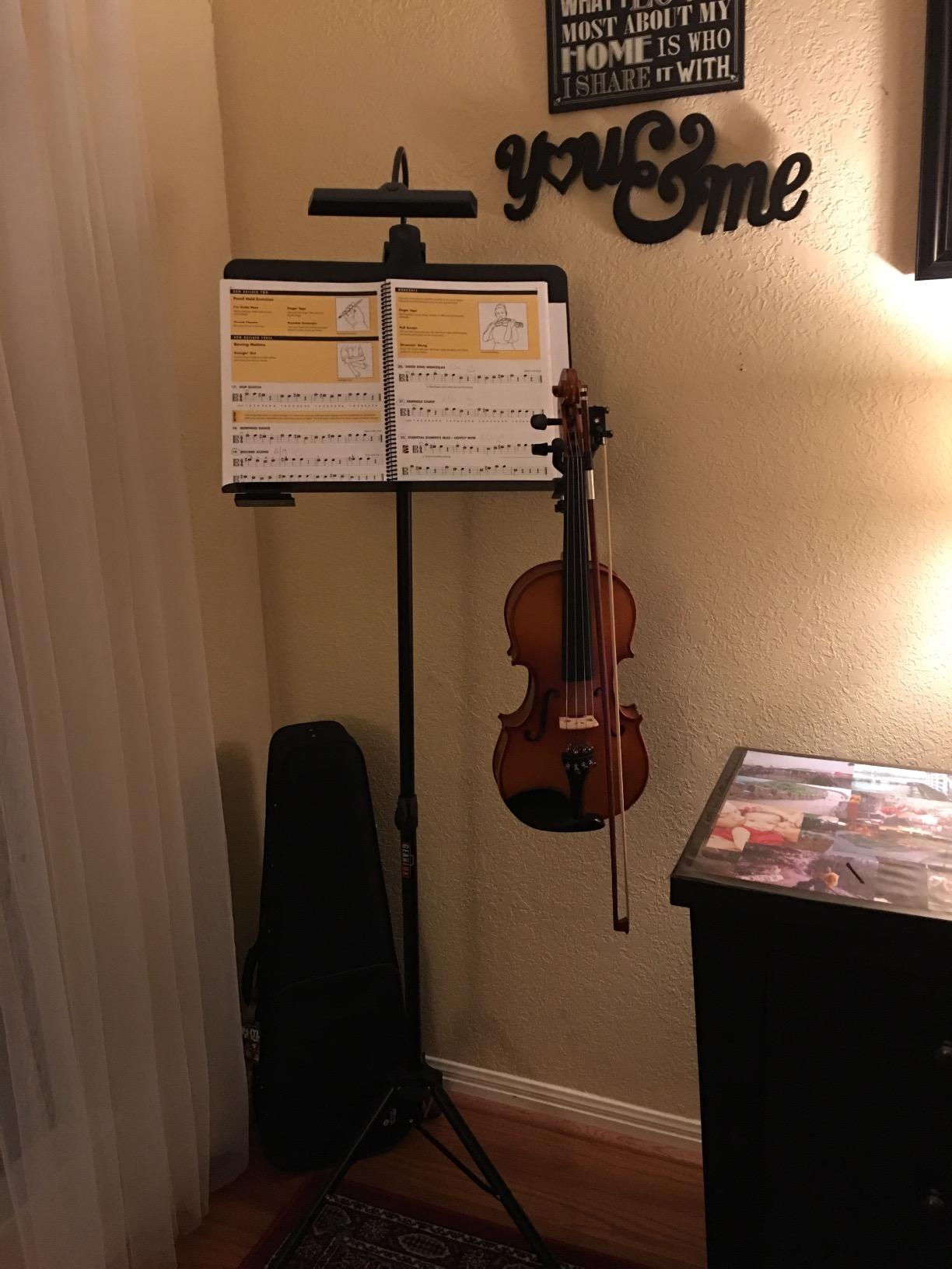 Cecilio Solid Wood Viola 16 Inch Viola Full Size, Professional Handcrafted Acoustic Viola with Ebony Fittings, D'Addario Prelude Strings, Antique Satin Finish customer photo 2