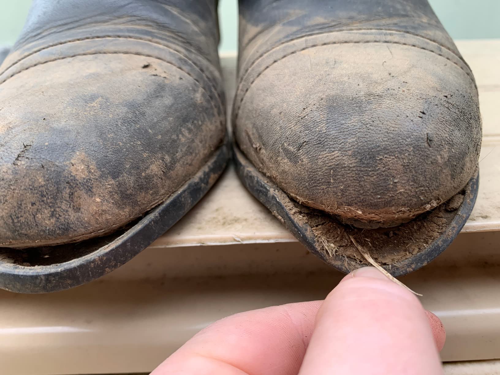 ARIAT Scout Zip Paddock customer photo 1