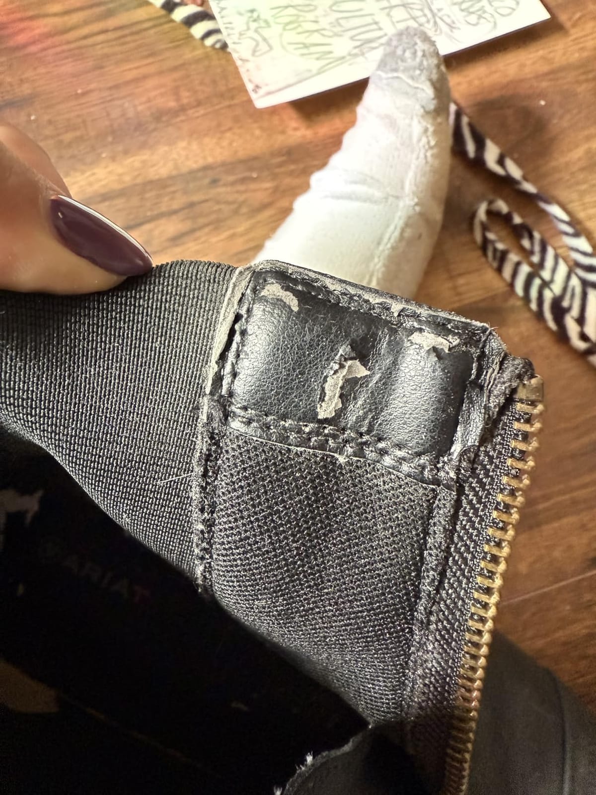 ARIAT Scout Zip Paddock customer photo 2
