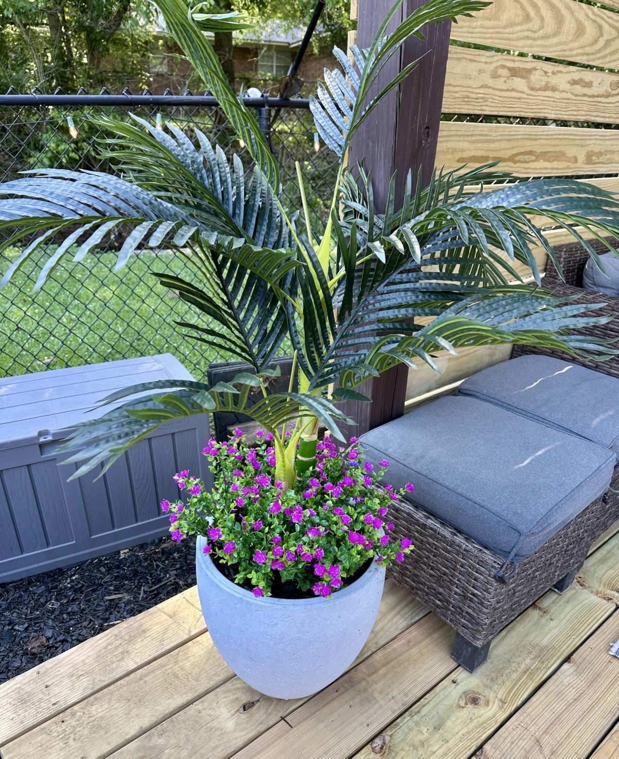 Nearly Natural 4 ft Artificial Golden Cane Palm Tree with Nursery Pot | Double-Stalk, Lush Realistic Foliage, Indoor Faux Palm Plant, Living Room Decor, Perfect Tropical Decoration customer photo 2