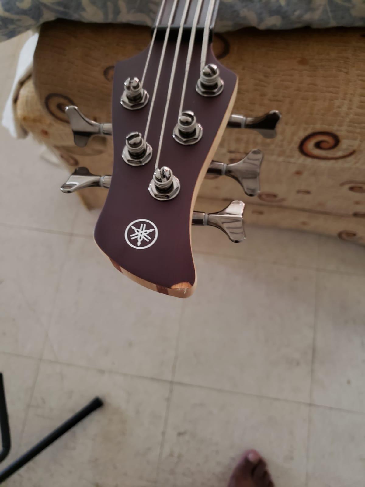 Yamaha TRBX505 TWH 5-String Premium Electric Bass Guitar, Translucent White customer photo 1