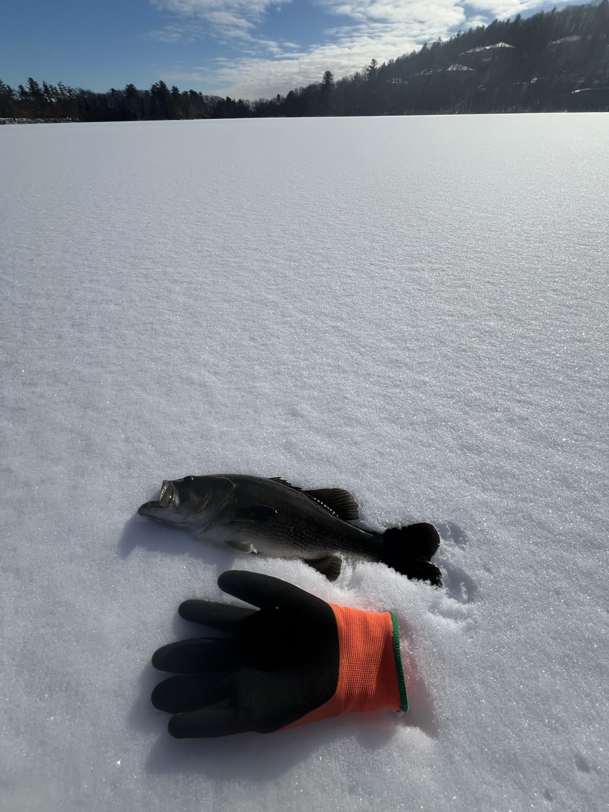 Deep Freeze BlueTipz Tip-Up Ice Fishing Alarm - Bite Alarm - Ice Fishing Tip-Up Light - Ice Fishing Gear & Accessories - Free Bluetooth iOS & Android Application customer photo 2