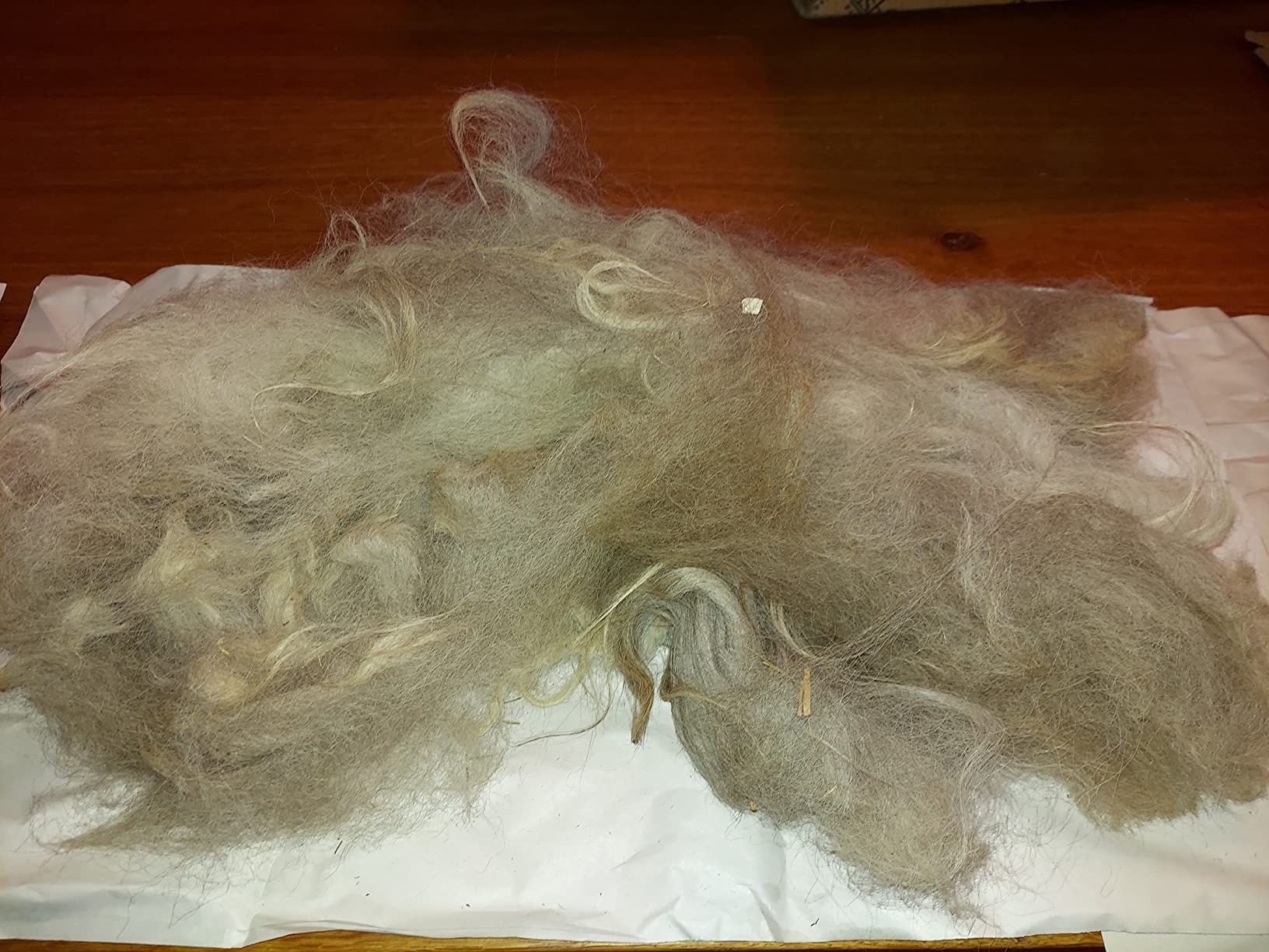 Ashford Wild Drum Carder customer photo 1