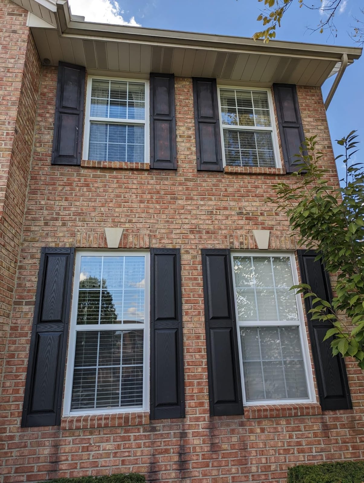 Ekena Millwork Lifetime Vinyl LP2S14X04300BL Standard Two Equal Panel Vinyls, Raised Panel Vinyl Shutters, w/Installation Shutter-Lok's & Matching Screws (Per Pair), 14 3/4