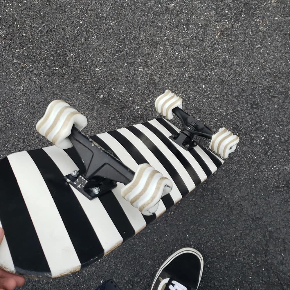 Shark Wheel 60 mm 78a Skateboard Wheels | California Roll | 4-Pack customer photo 2