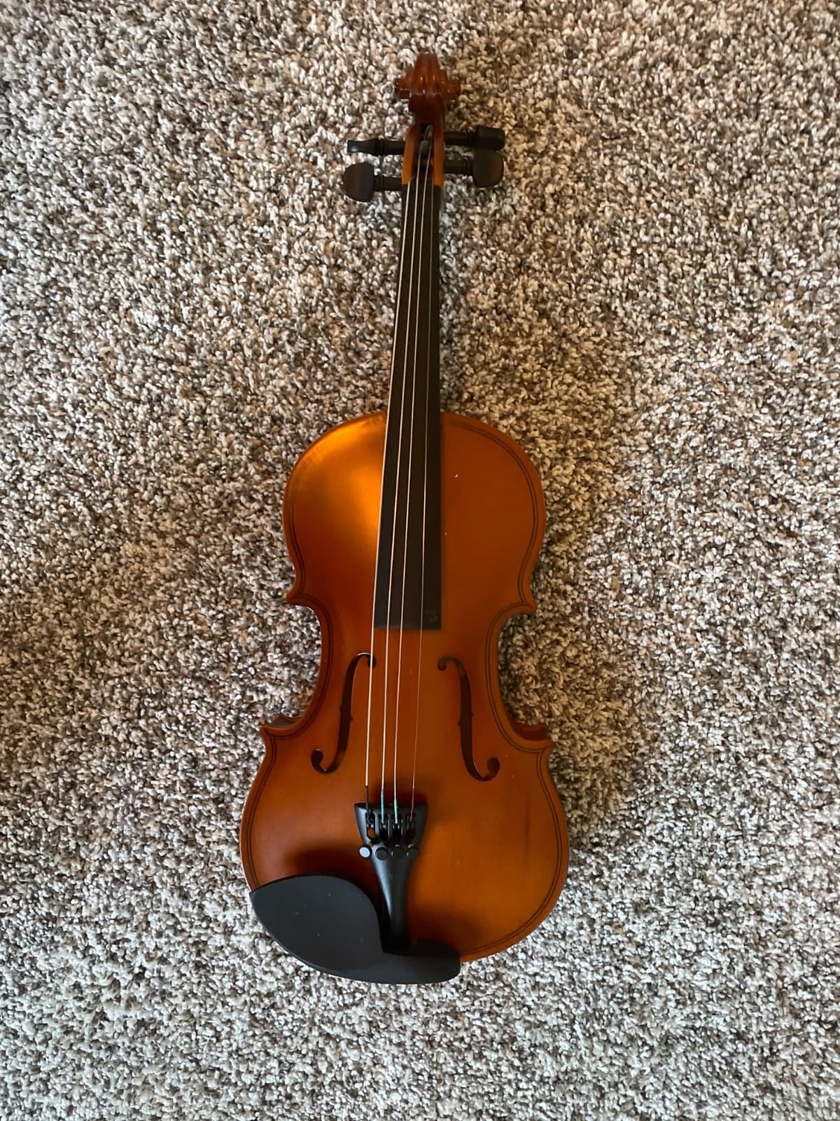 Paititi 1/2 Size Artist-100 Student Violin Starter Kit with Brazilwood Bow Lightweight Case, Shoulder Rest, Extra Strings and Rosin customer photo 1