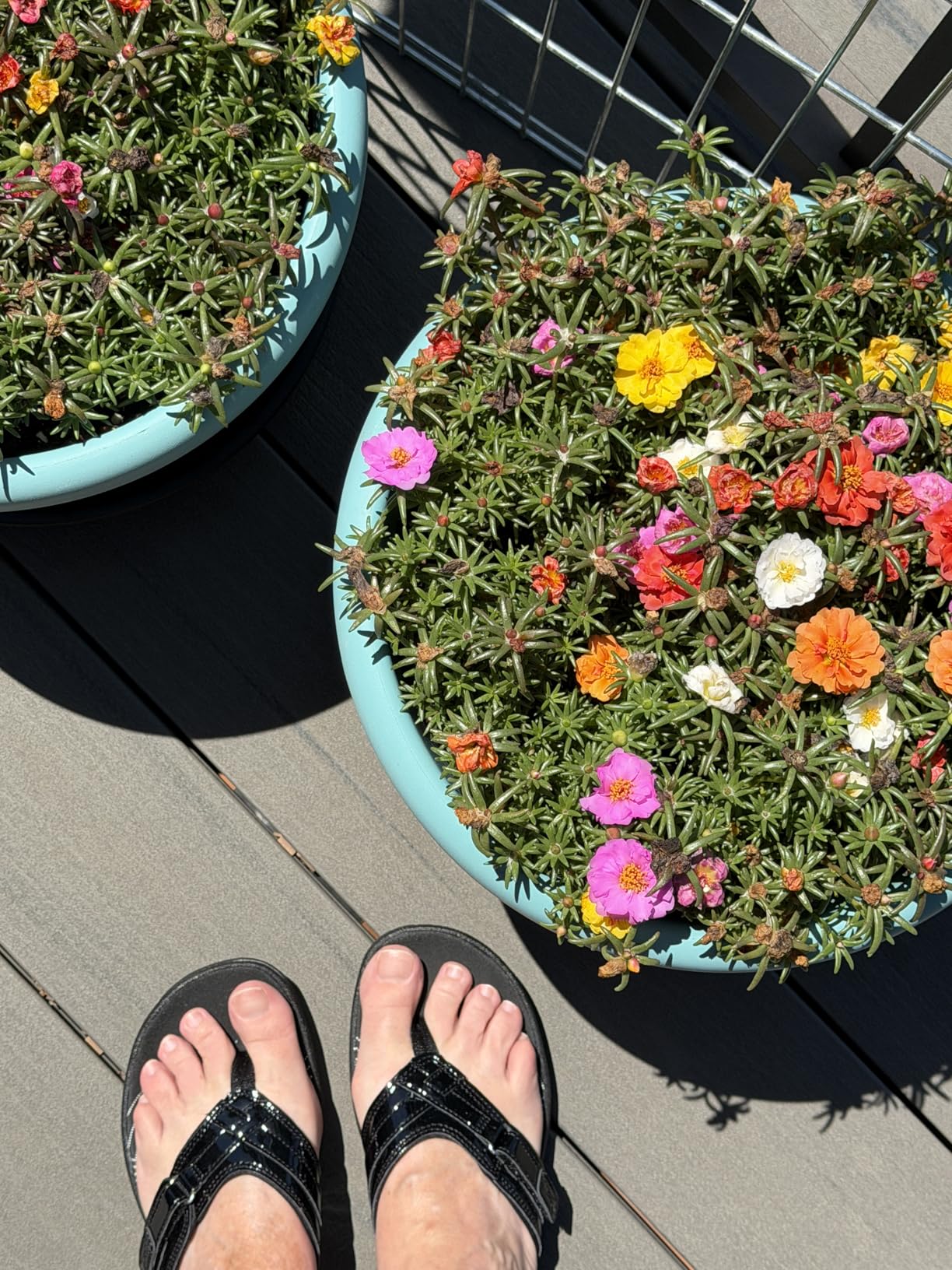 Clarks Women's Breeze Sea Flip-Flop customer photo 1