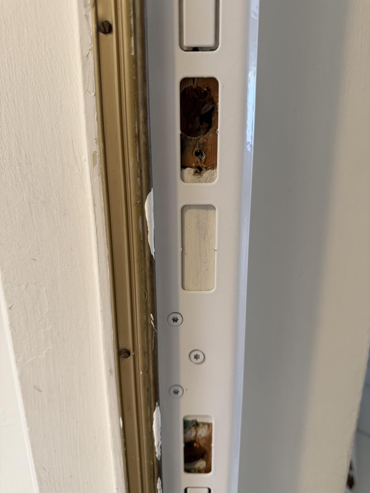Door Armor MAX 5 Piece Door Reinforcement Kit, Anti Kick in Door Security | Door Jamb, Frame & Hinge Reinforcement, Heavy Duty Steel Door Protection, Made In USA, Powder Coated Alloy Steel (White) customer photo 2