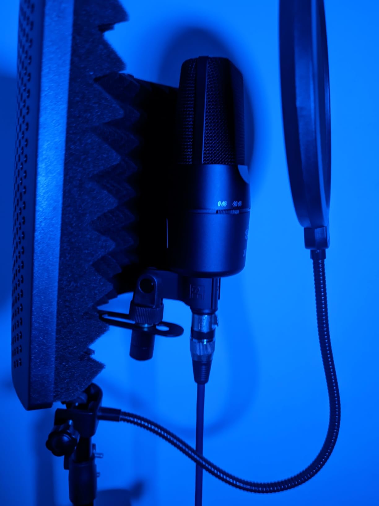 sE Electronics X1 A Large Diaphragm Condenser Microphone with 100 Hz Filter & -20 dB Pad - XLR Condenser Mic for Singing & Instruments - Professional Studio Microphone for Recording & Podcasting customer photo 1