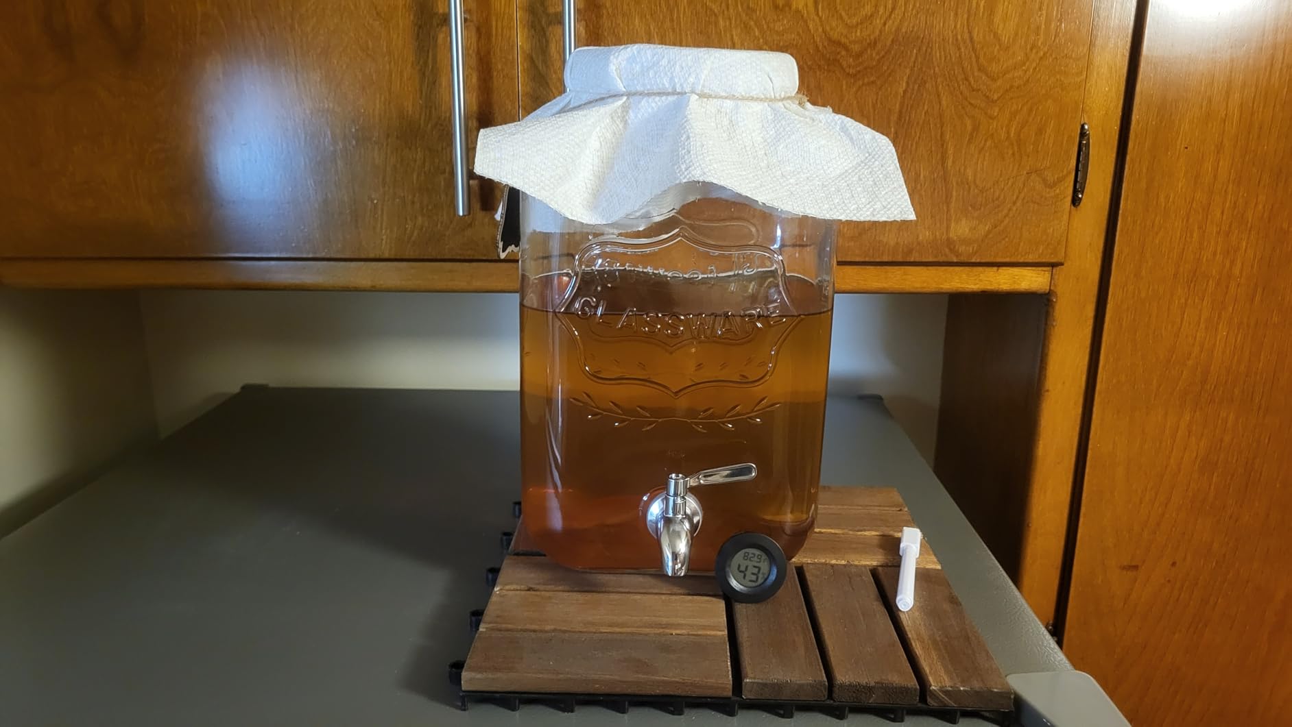 Fermentaholics ORGANIC Kombucha SCOBY With Twelve Ounces of Starter Tea - Live Starter Culture - Makes A One Gallon Batch - 1.5 Cups of Strong Mature Starter Tea - Brew Your Own Kombucha customer photo 2