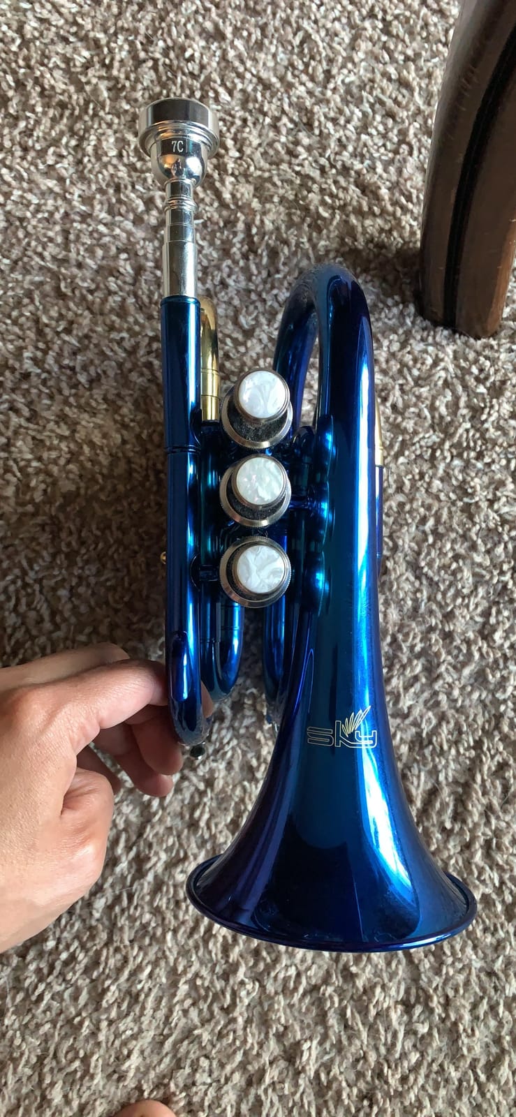Sky Band Approved Brass Bb Pocket Trumpet with Case, Cloth, Gloves and Valve Oil (Silver) customer photo 2