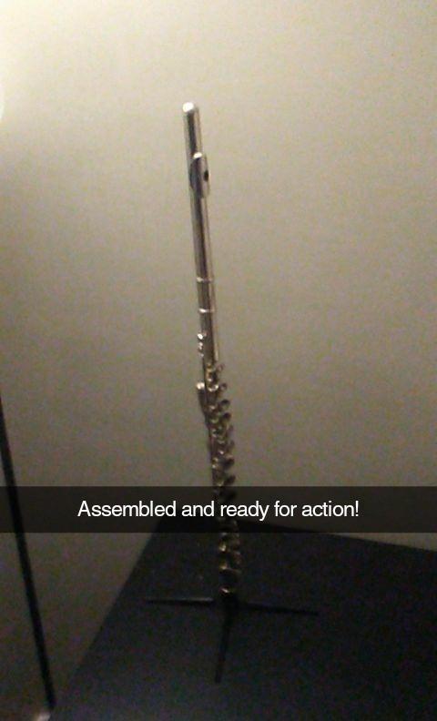 Mendini by Cecilio 16 Keys Closed Hole C Flute Kit for Beginners - Nickel customer photo 1